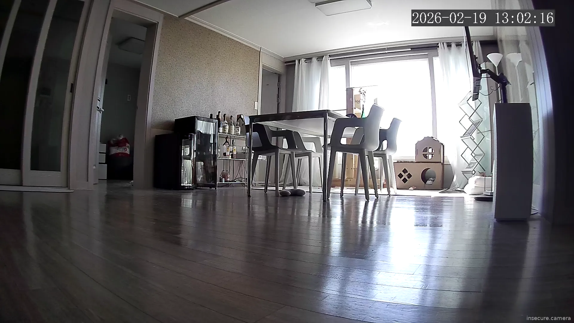 Camera in South Korea