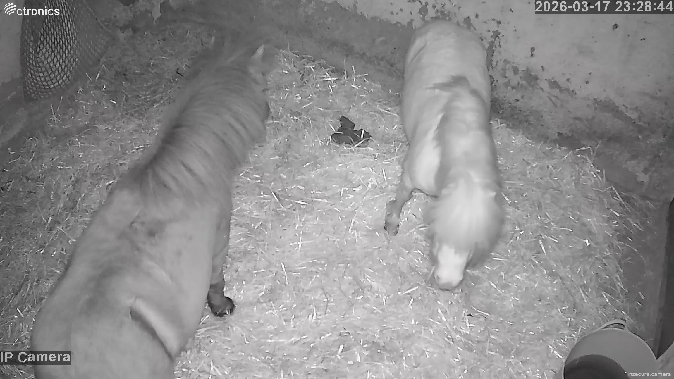 Capture from Mar 17, 2026 at 10:29 PM