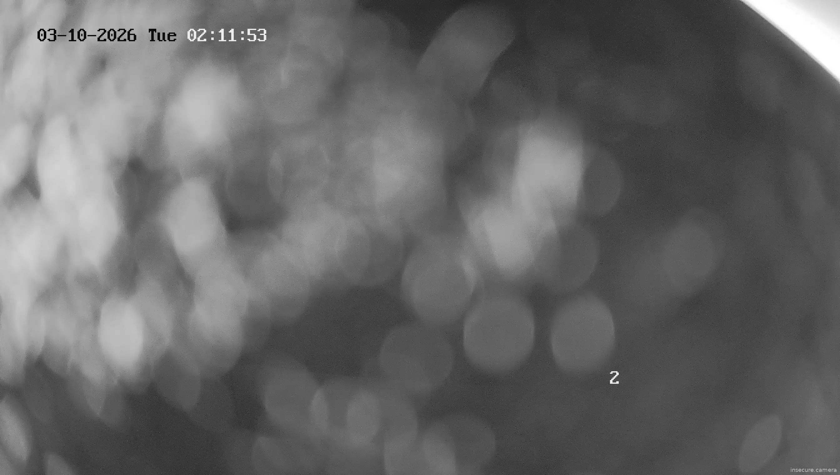 Capture from Mar 10, 2026 at 06:12 AM