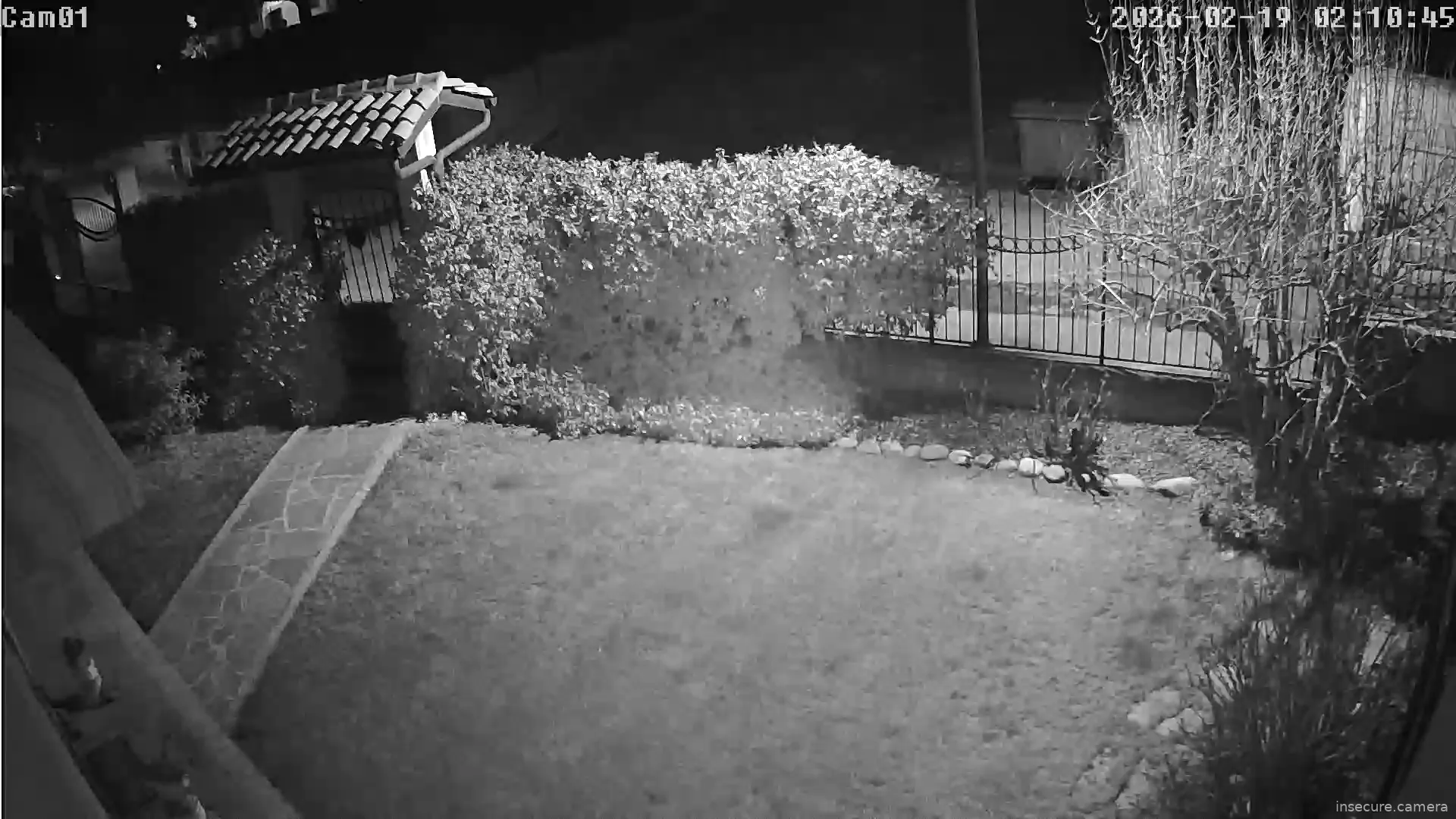 Capture from Feb 19, 2026 at 01:11 AM