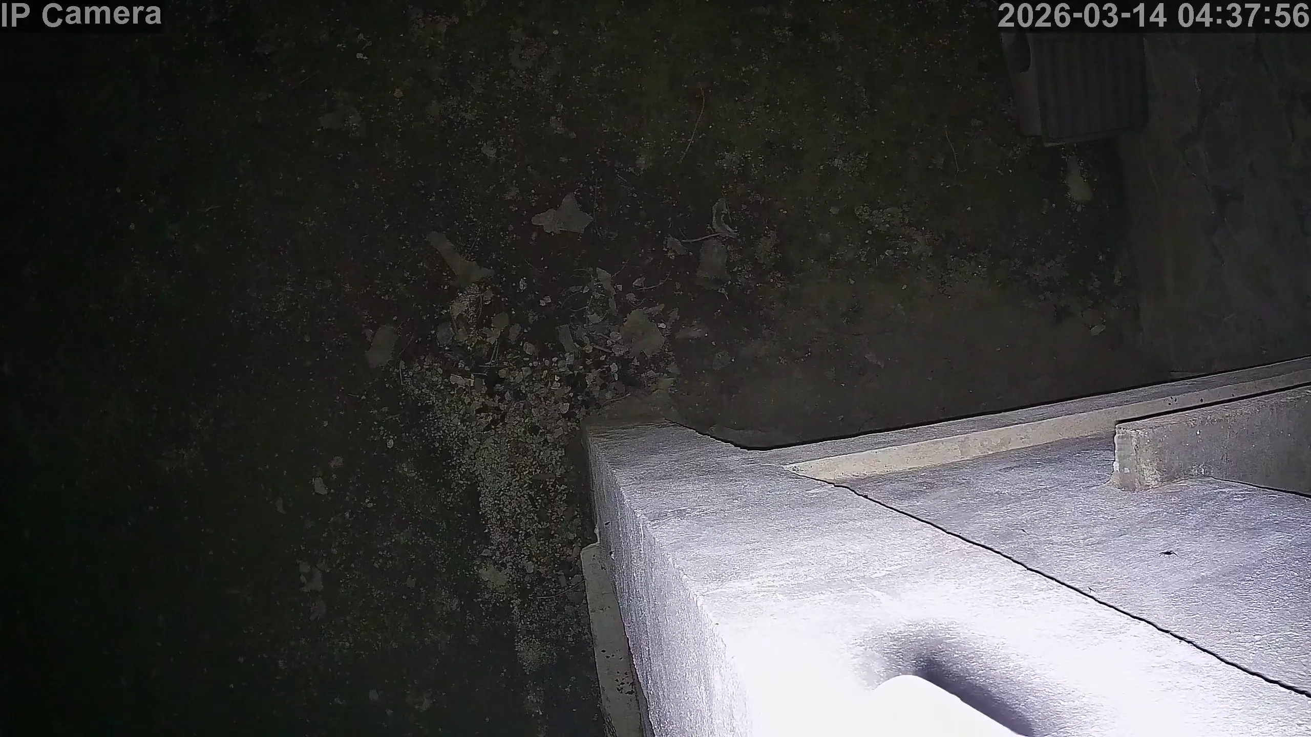 Capture from Mar 13, 2026 at 08:38 PM