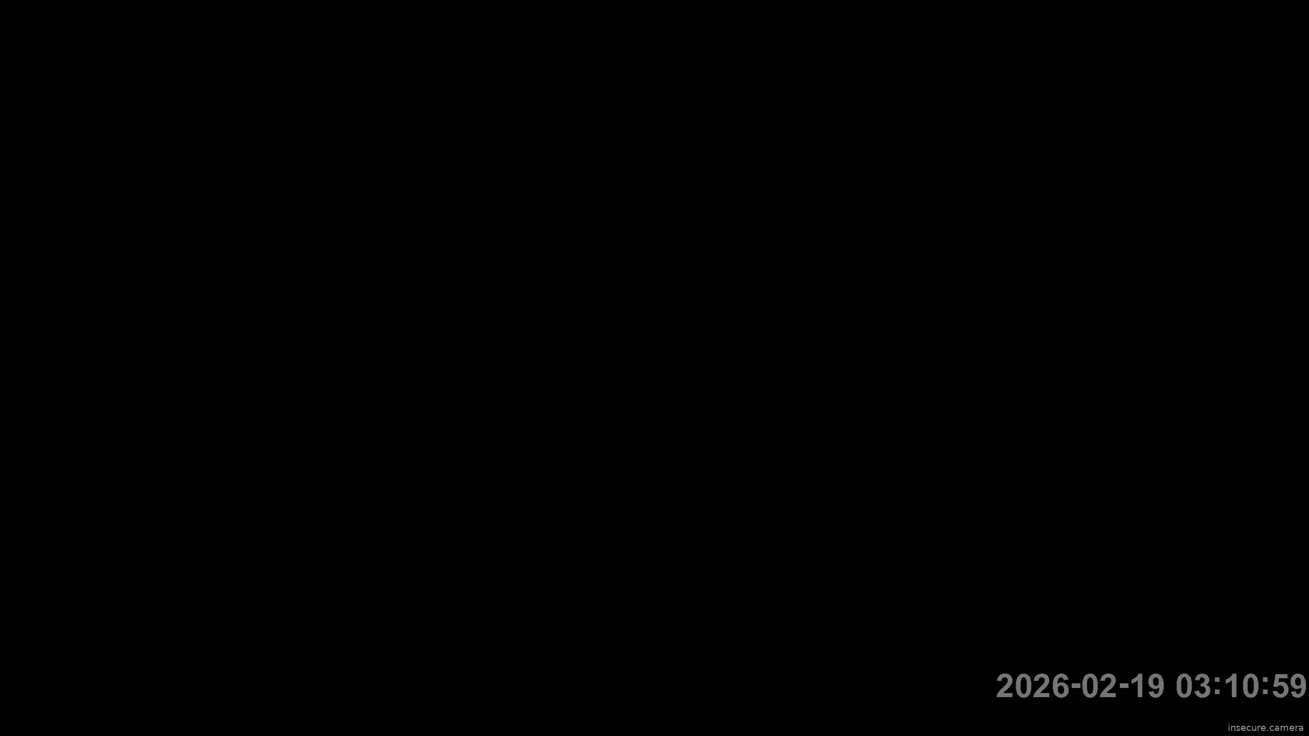 Capture from Feb 19, 2026 at 01:11 AM