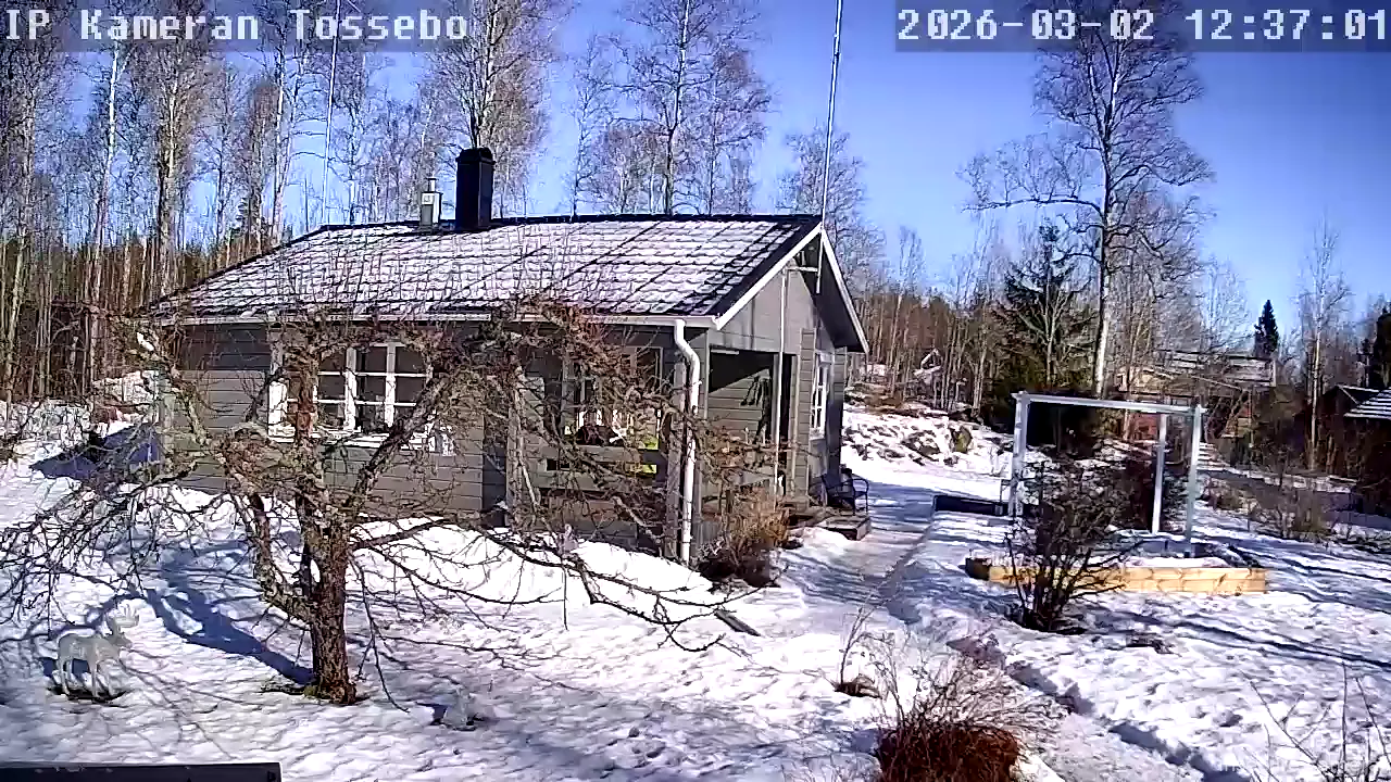 Capture from Mar 02, 2026 at 11:37 AM