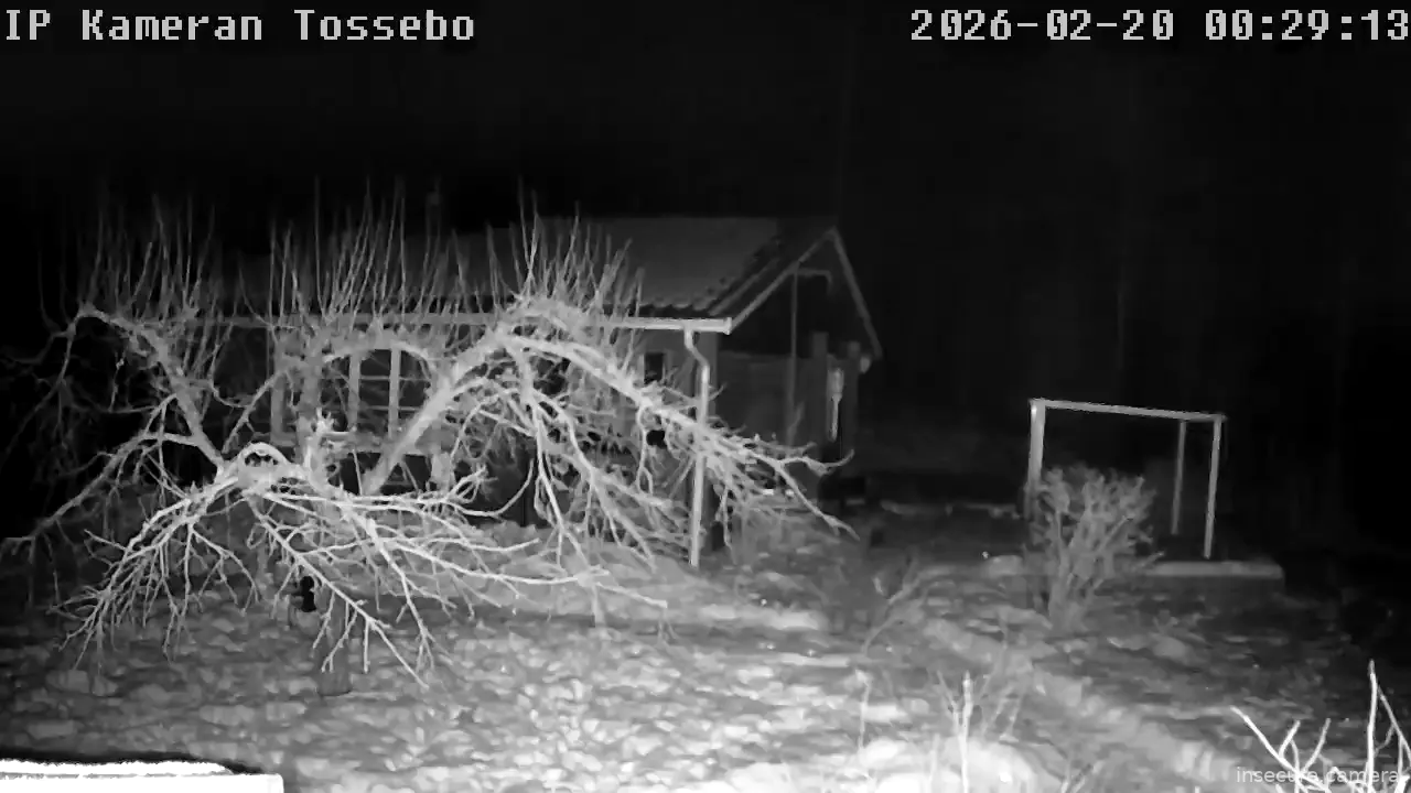 Capture from Feb 19, 2026 at 11:30 PM