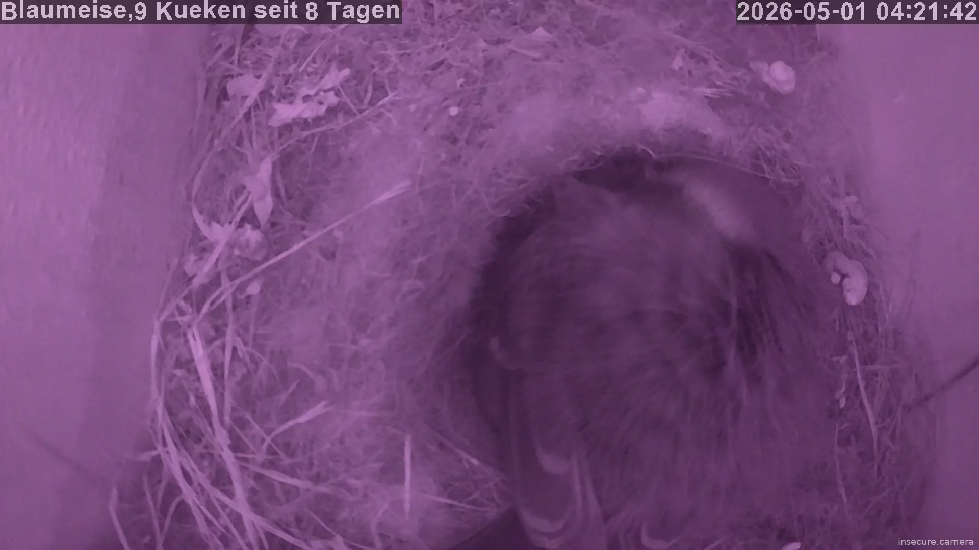 Capture from May 01, 2026 at 02:22 AM