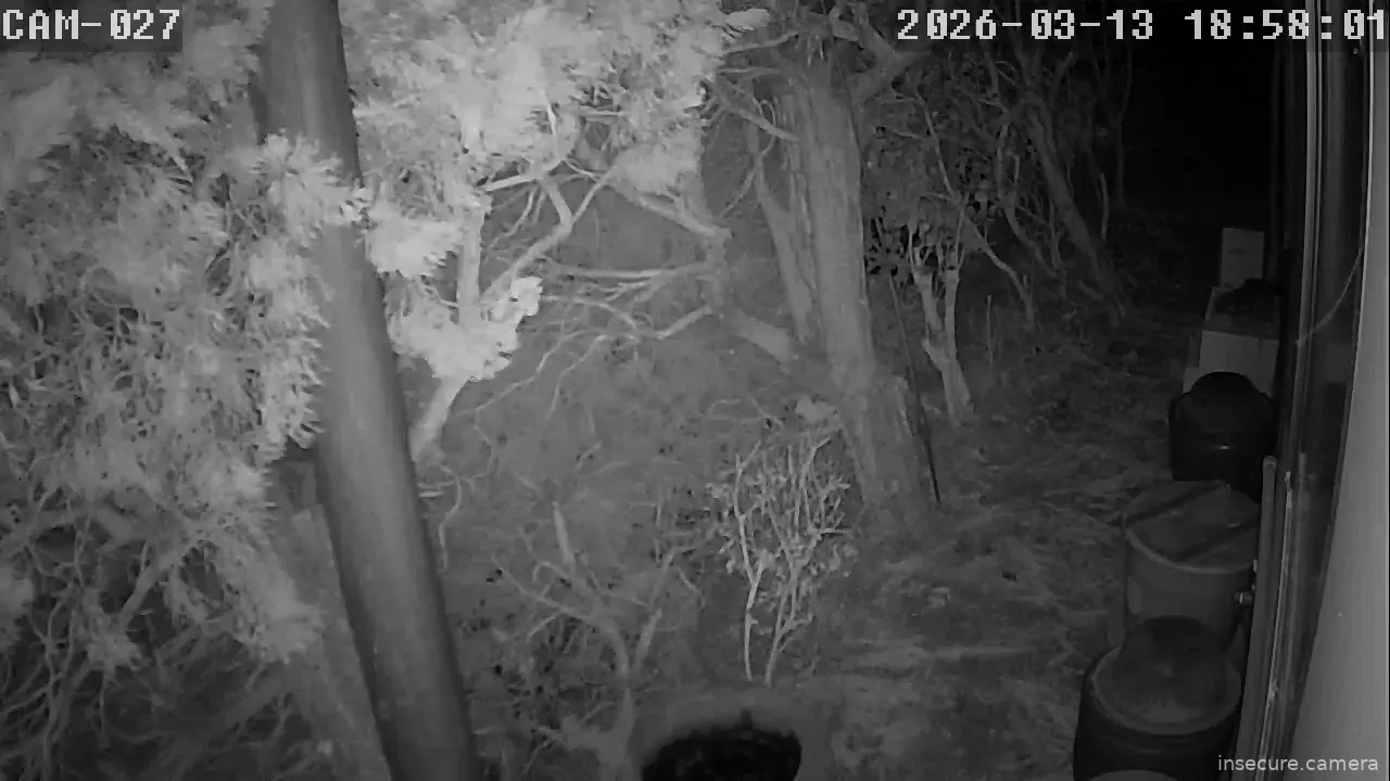 Capture from Mar 13, 2026 at 09:58 AM