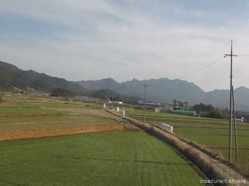 Capture from Mar 20, 2026 at 07:26 AM