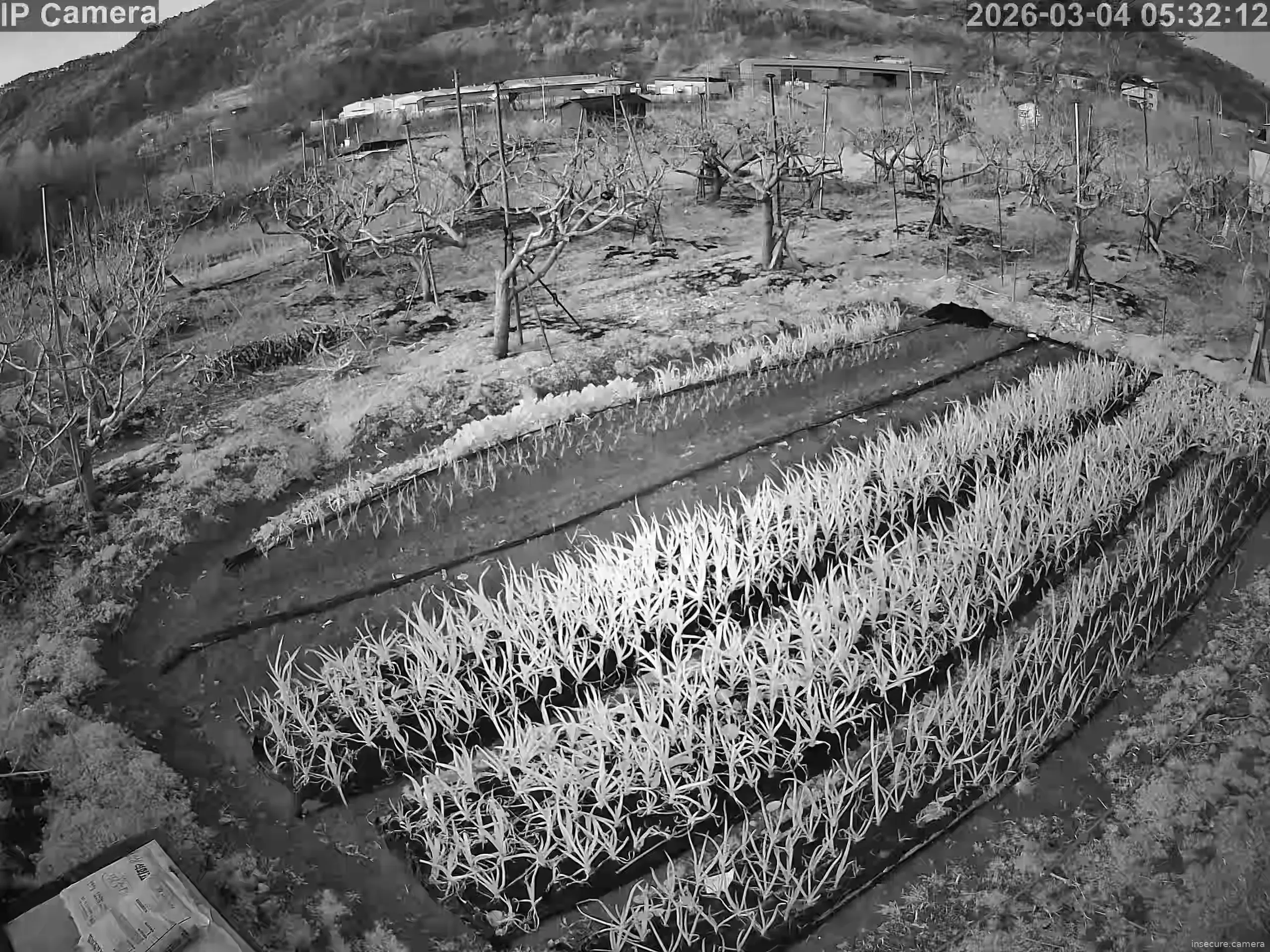 Camera in South Korea