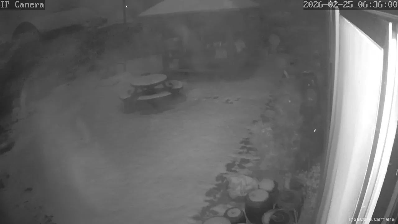 Camera in South Korea