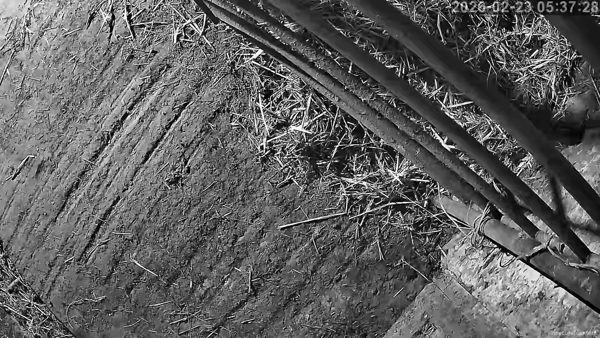 Capture from Feb 22, 2026 at 09:37 PM