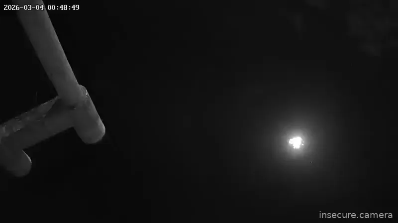 Capture from Mar 03, 2026 at 03:49 PM