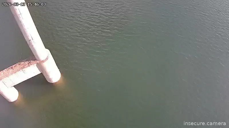 Camera in South Korea