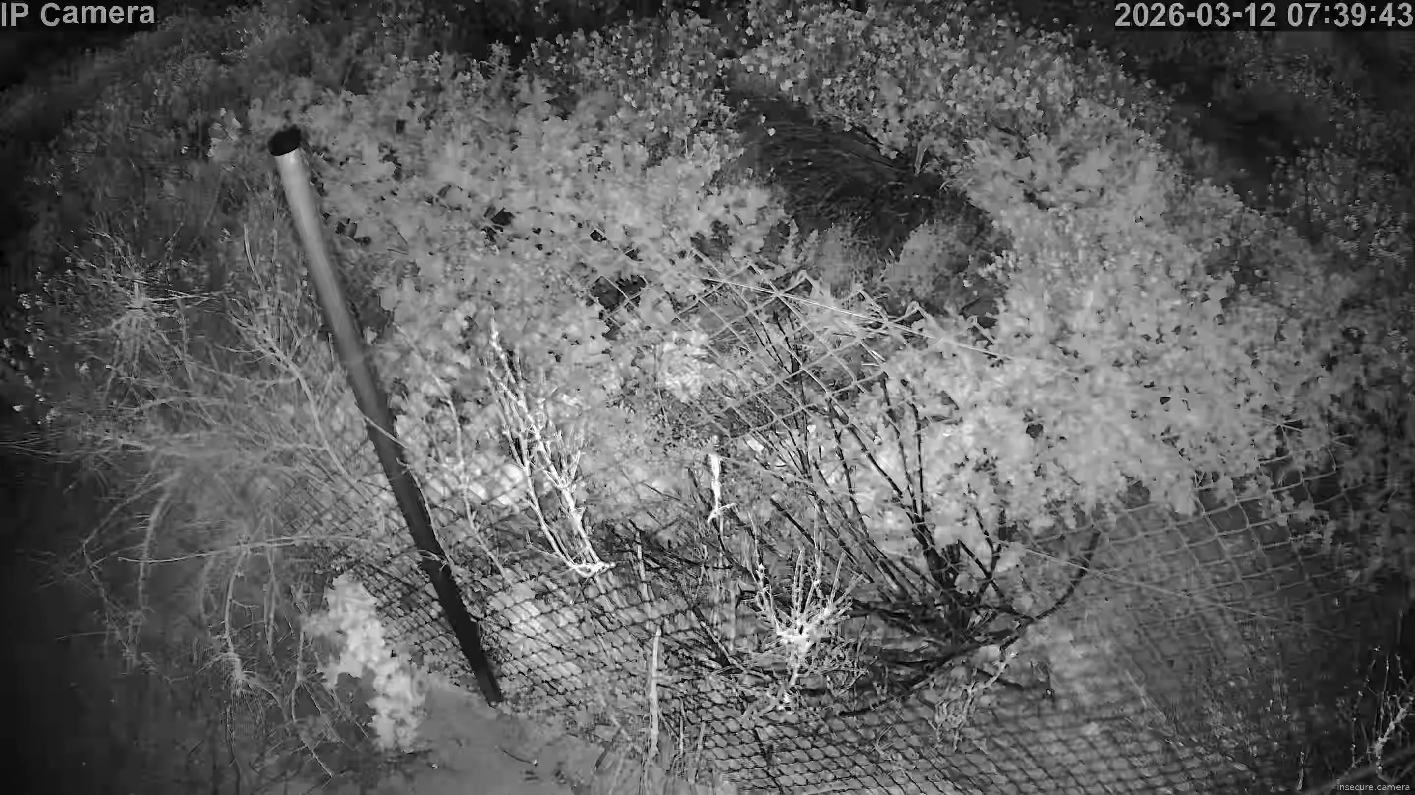 Capture from Mar 12, 2026 at 05:40 AM