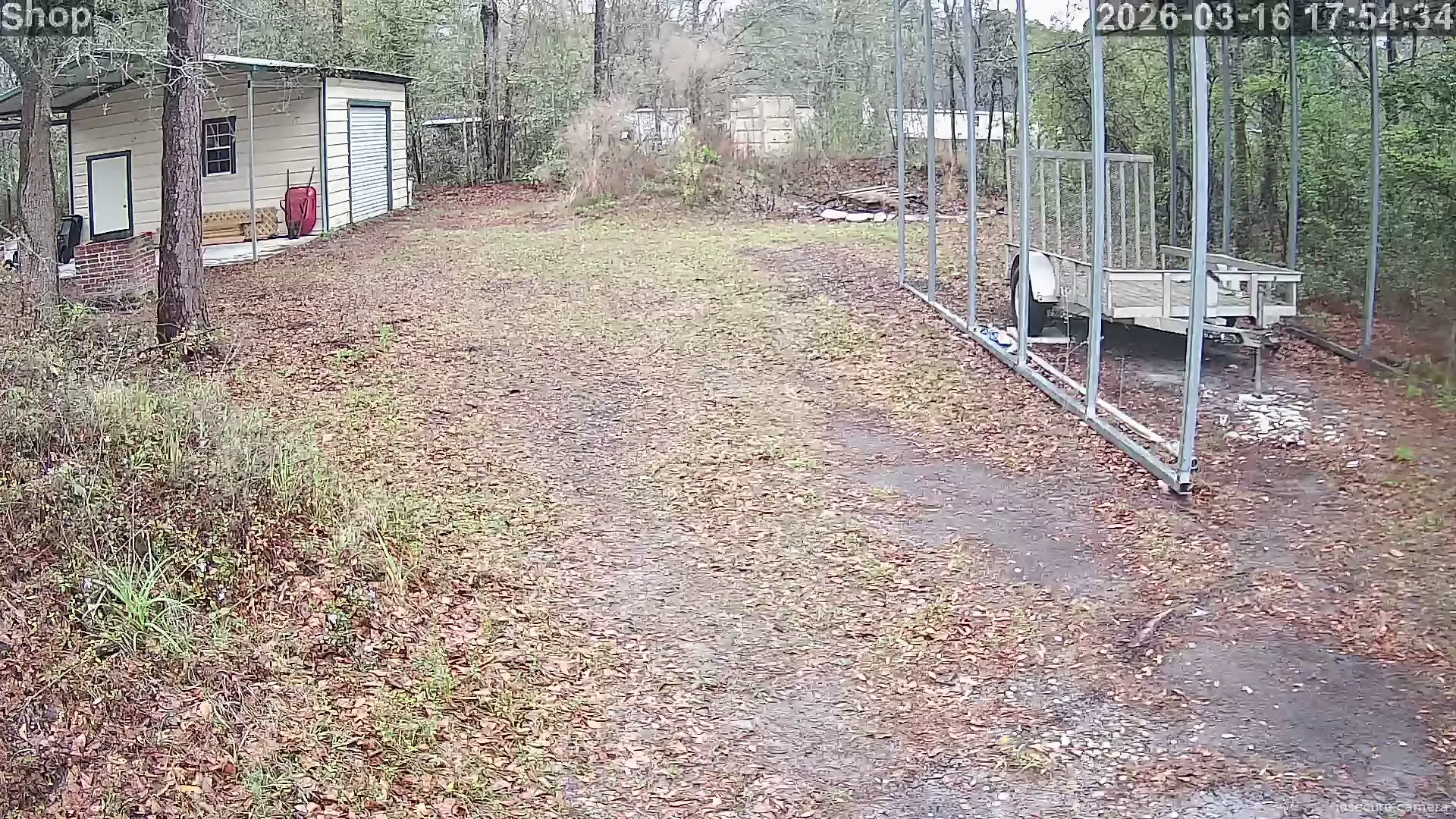 Camera in United States