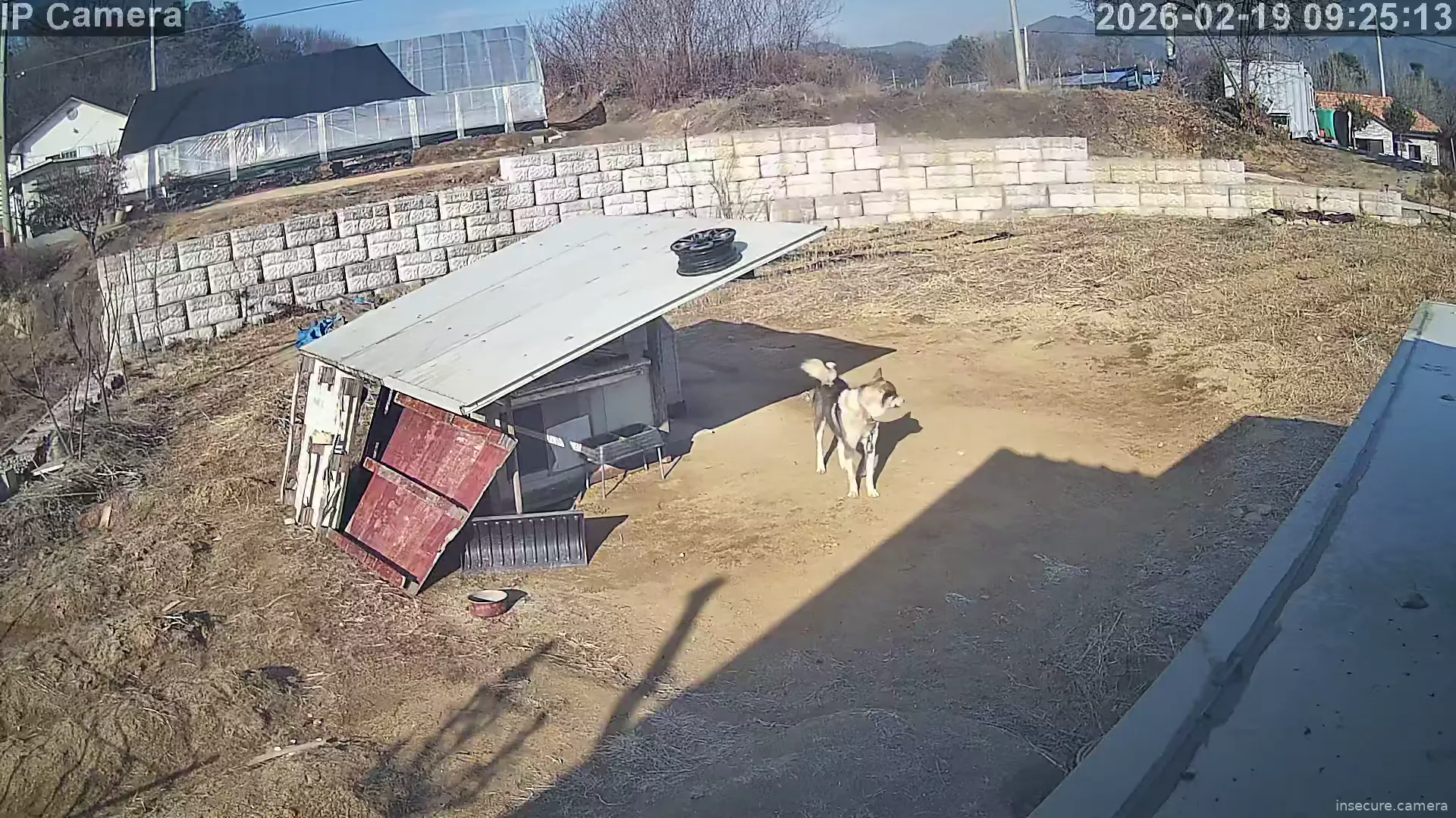 Capture from Feb 19, 2026 at 12:26 AM