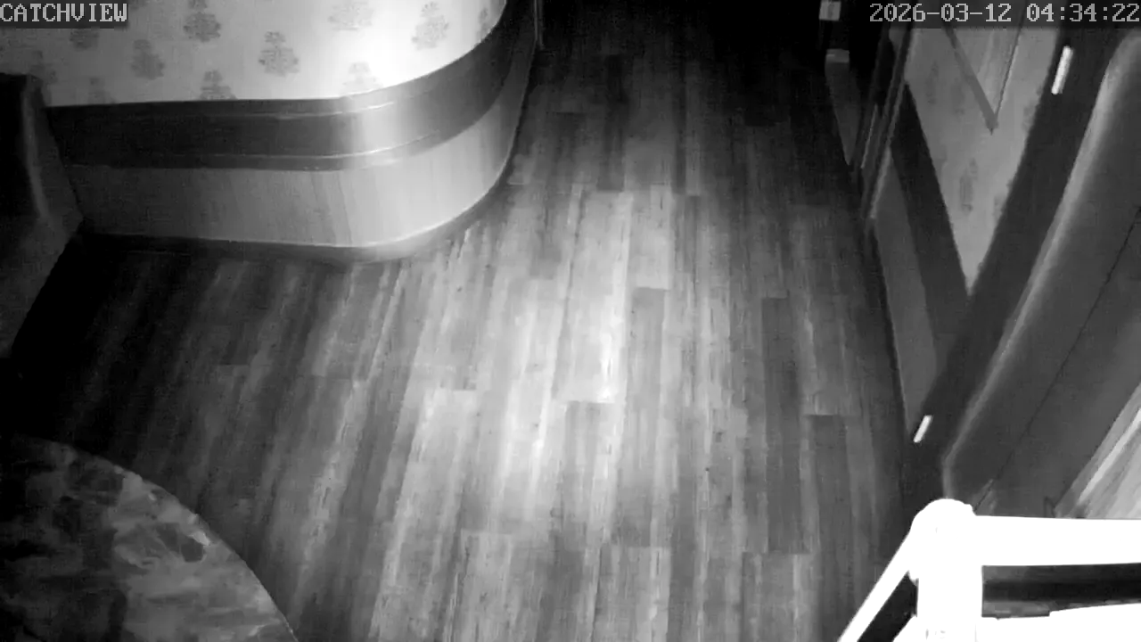 Capture from Mar 11, 2026 at 07:34 PM