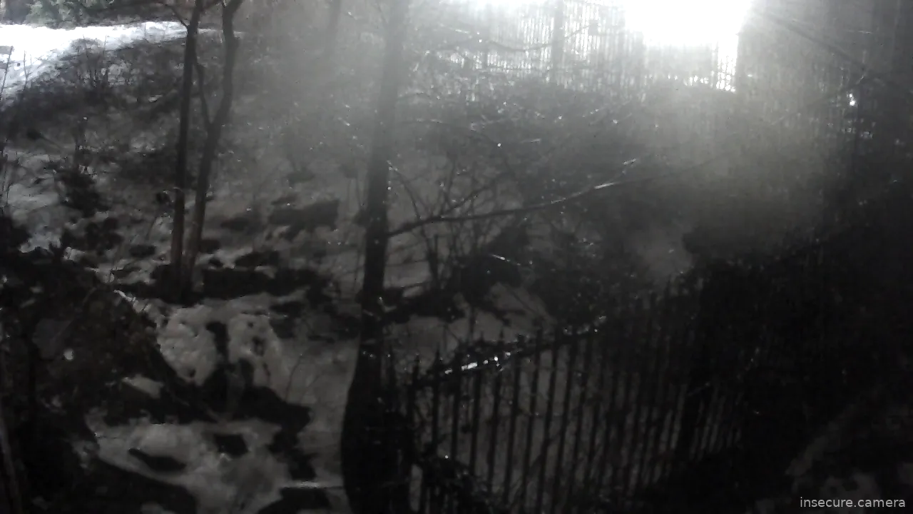 Capture from Feb 19, 2026 at 02:59 AM