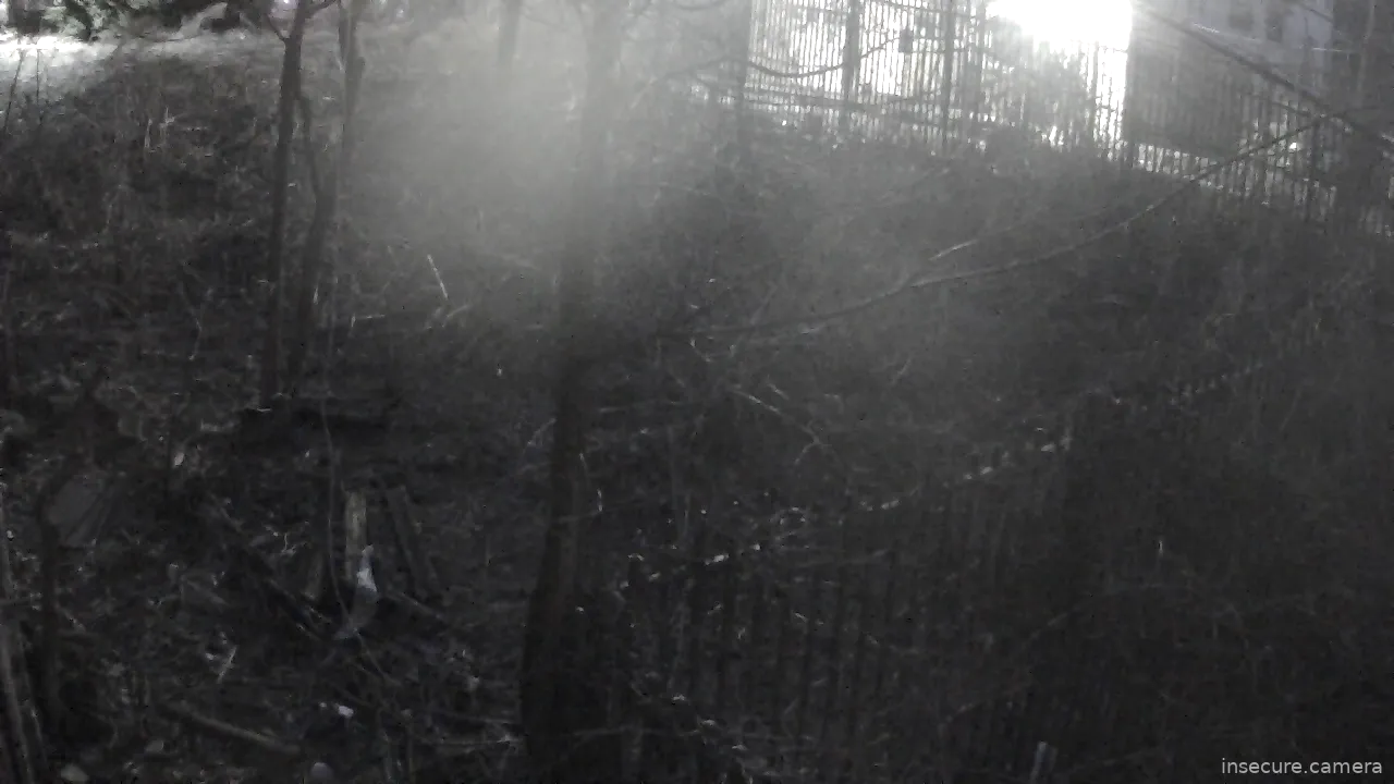 Capture from Mar 07, 2026 at 11:20 PM