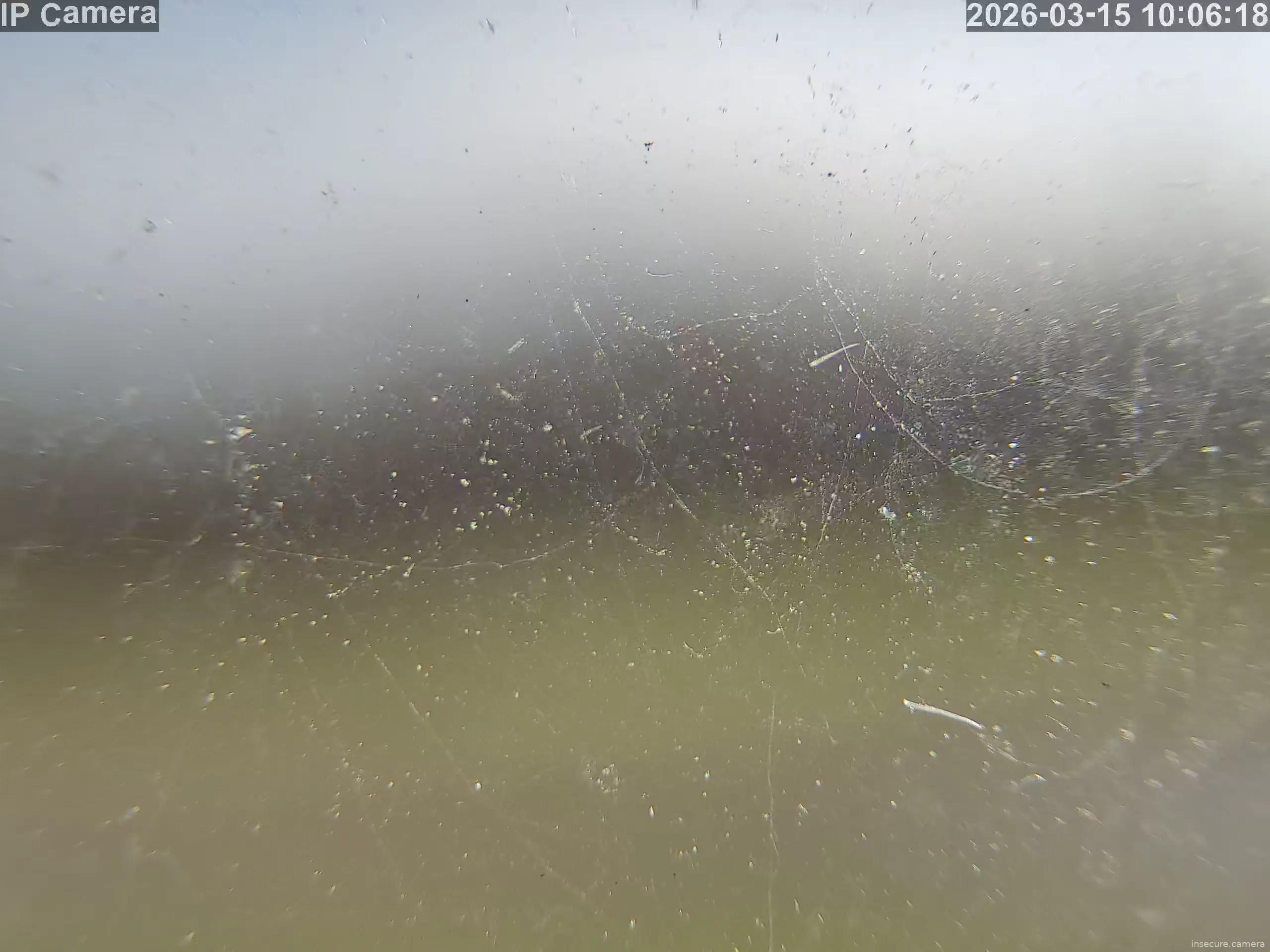 Camera in United States