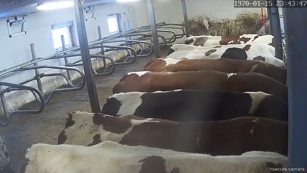 Capture from Mar 06, 2026 at 08:07 AM