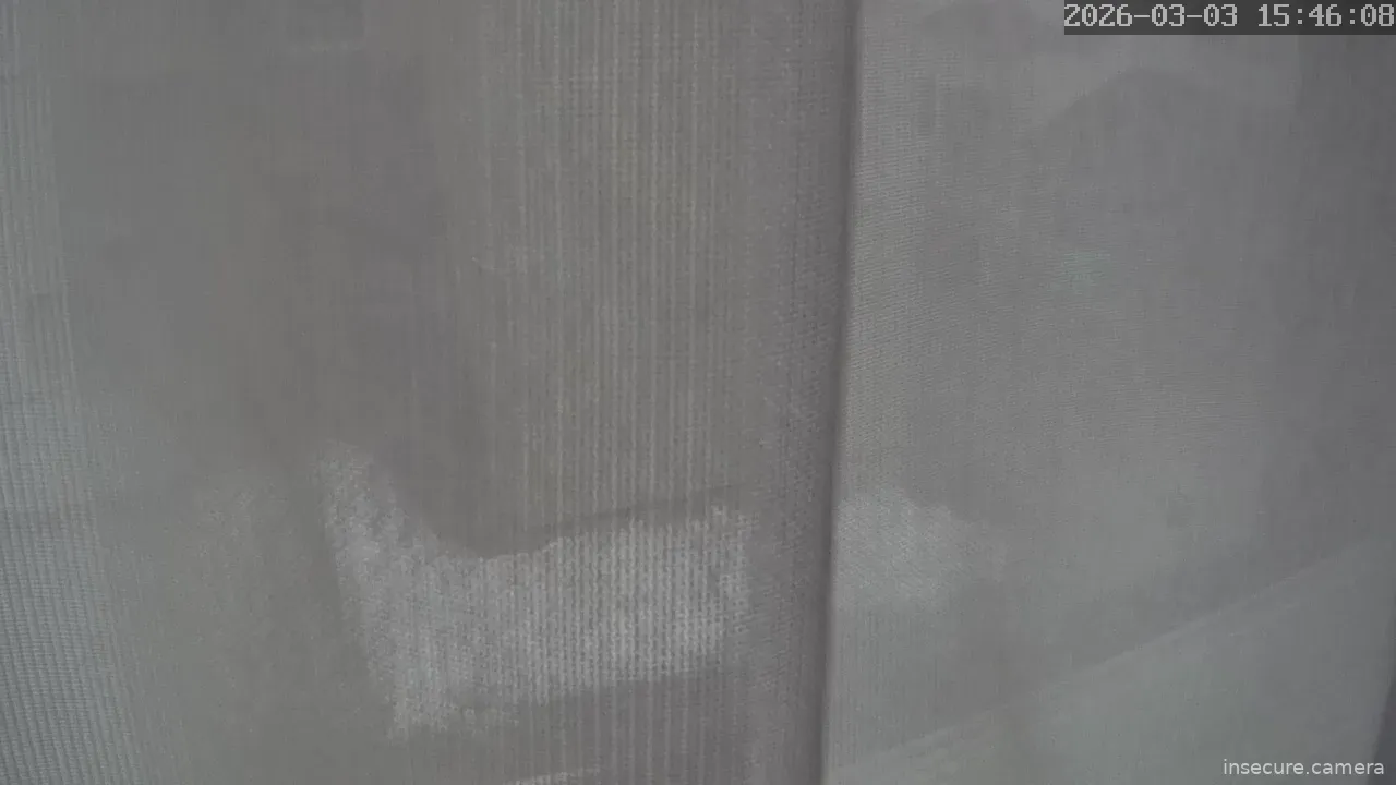 Capture from Mar 03, 2026 at 06:46 AM