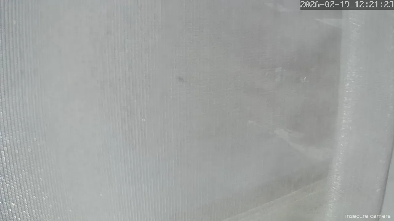 Capture from Feb 19, 2026 at 03:21 AM