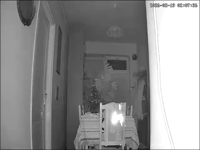 Capture from Feb 19, 2026 at 01:07 AM