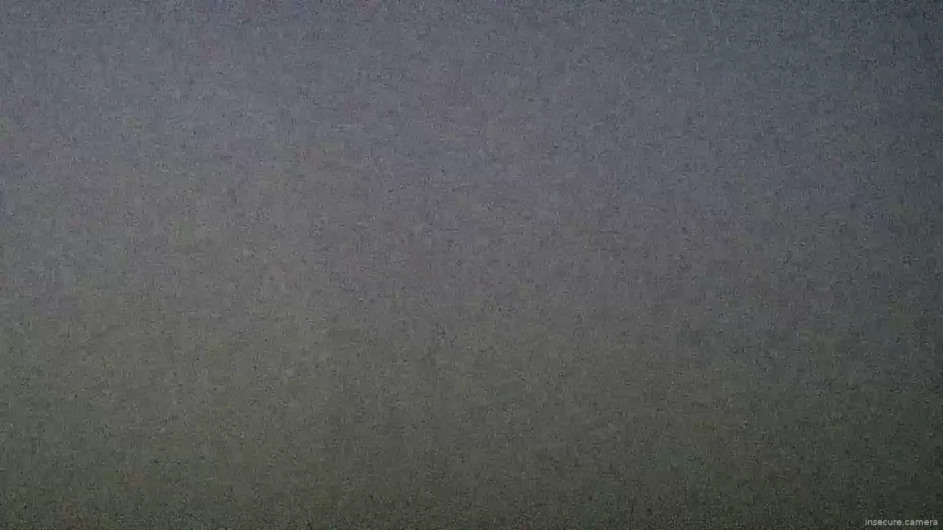 Capture from Feb 19, 2026 at 01:17 AM