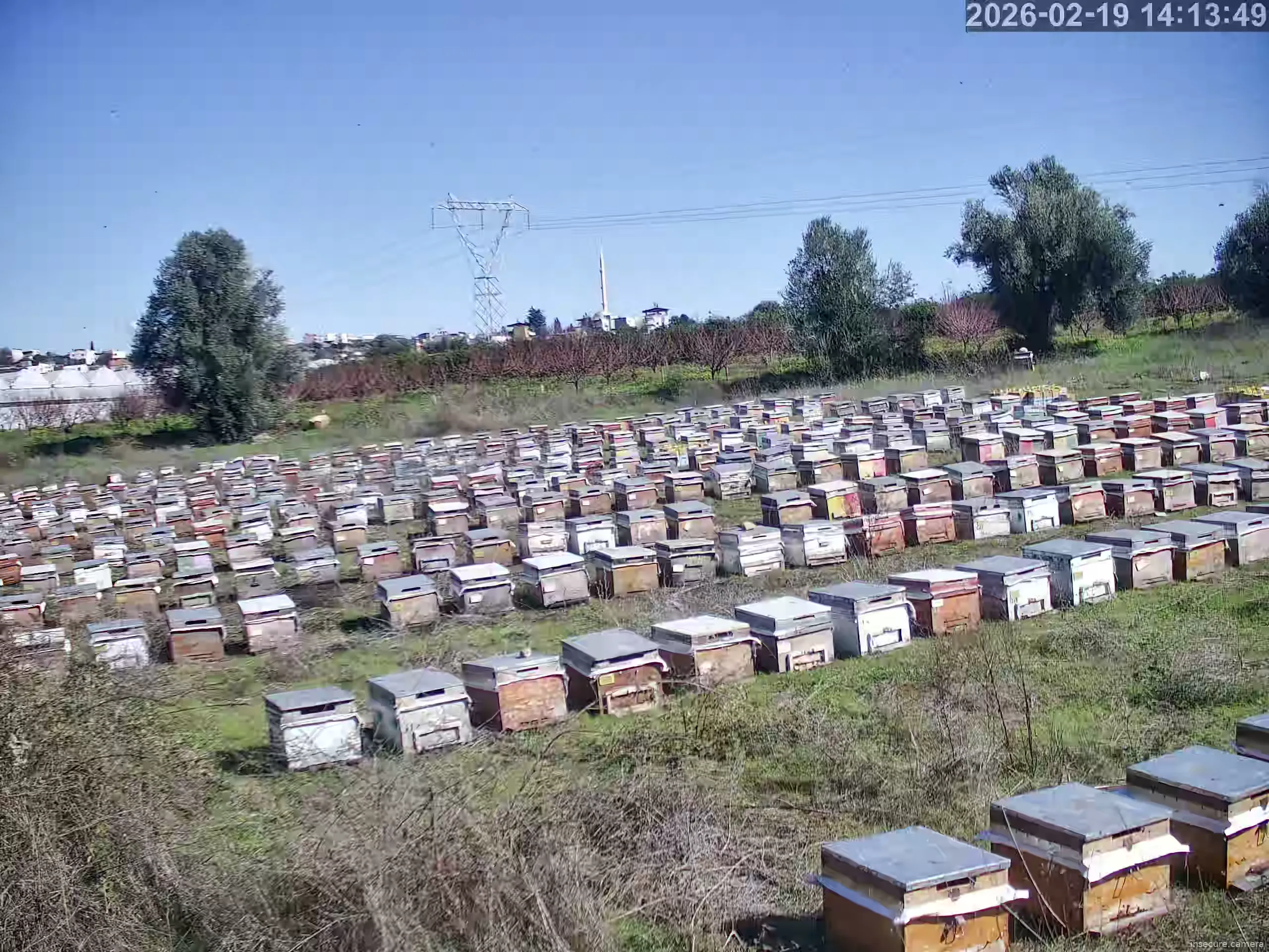 Capture from Feb 19, 2026 at 11:14 AM