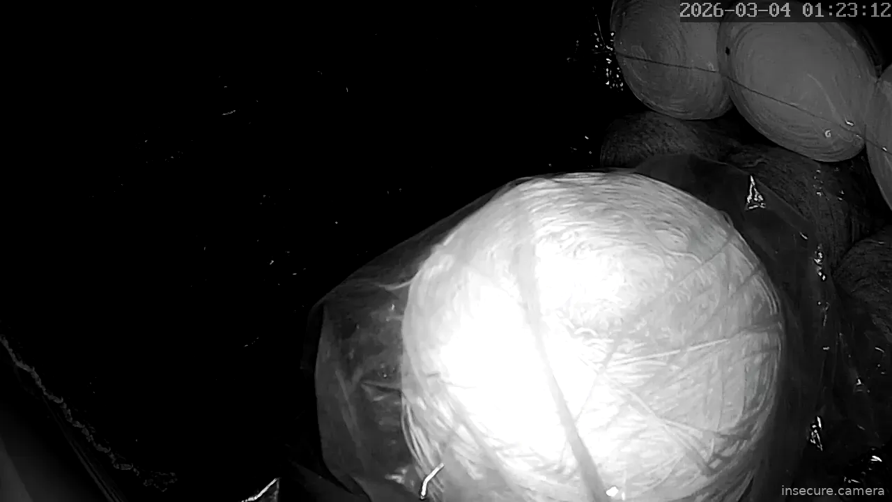 Capture from Mar 03, 2026 at 04:23 PM