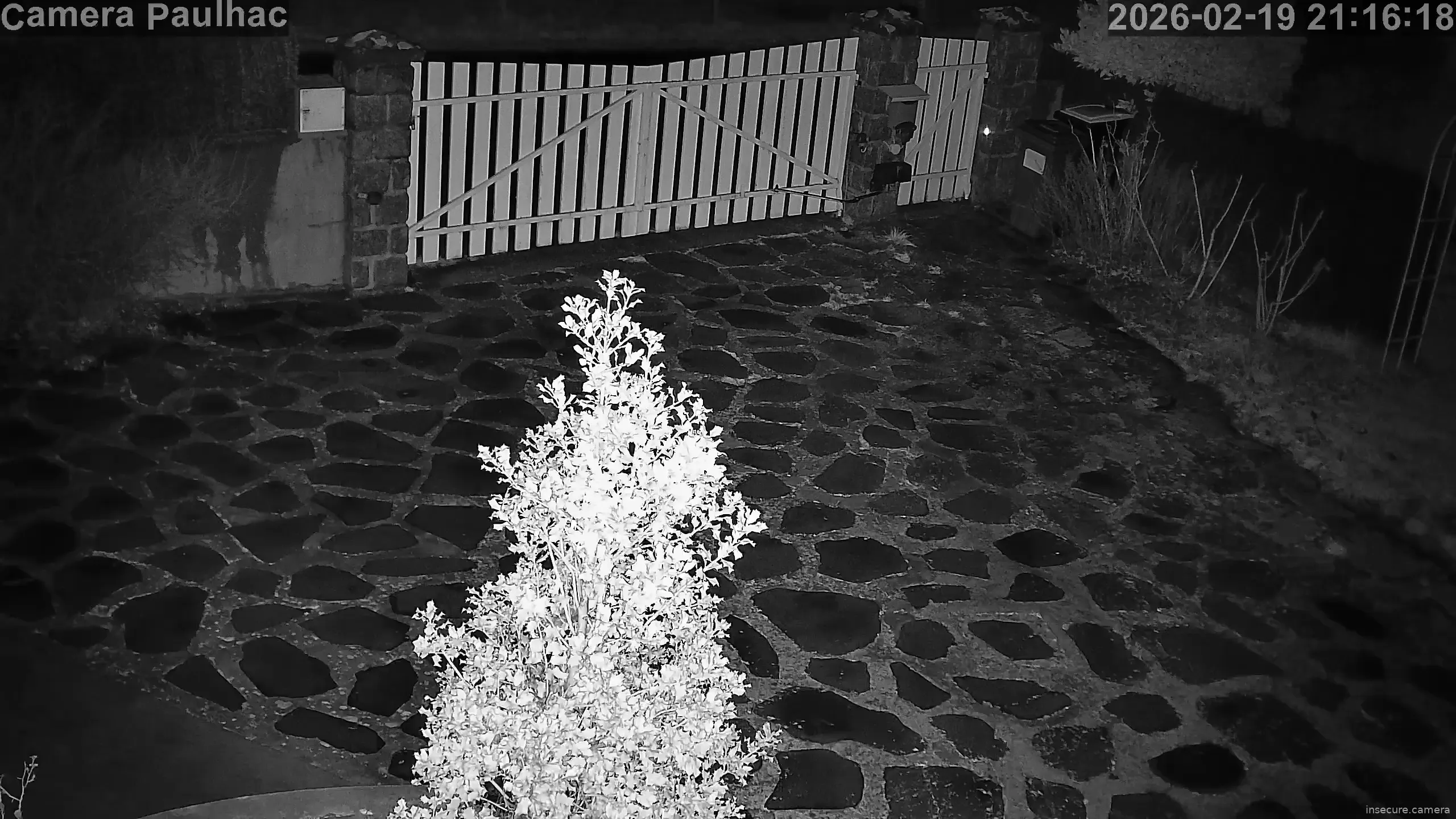 Capture from Feb 19, 2026 at 08:17 PM