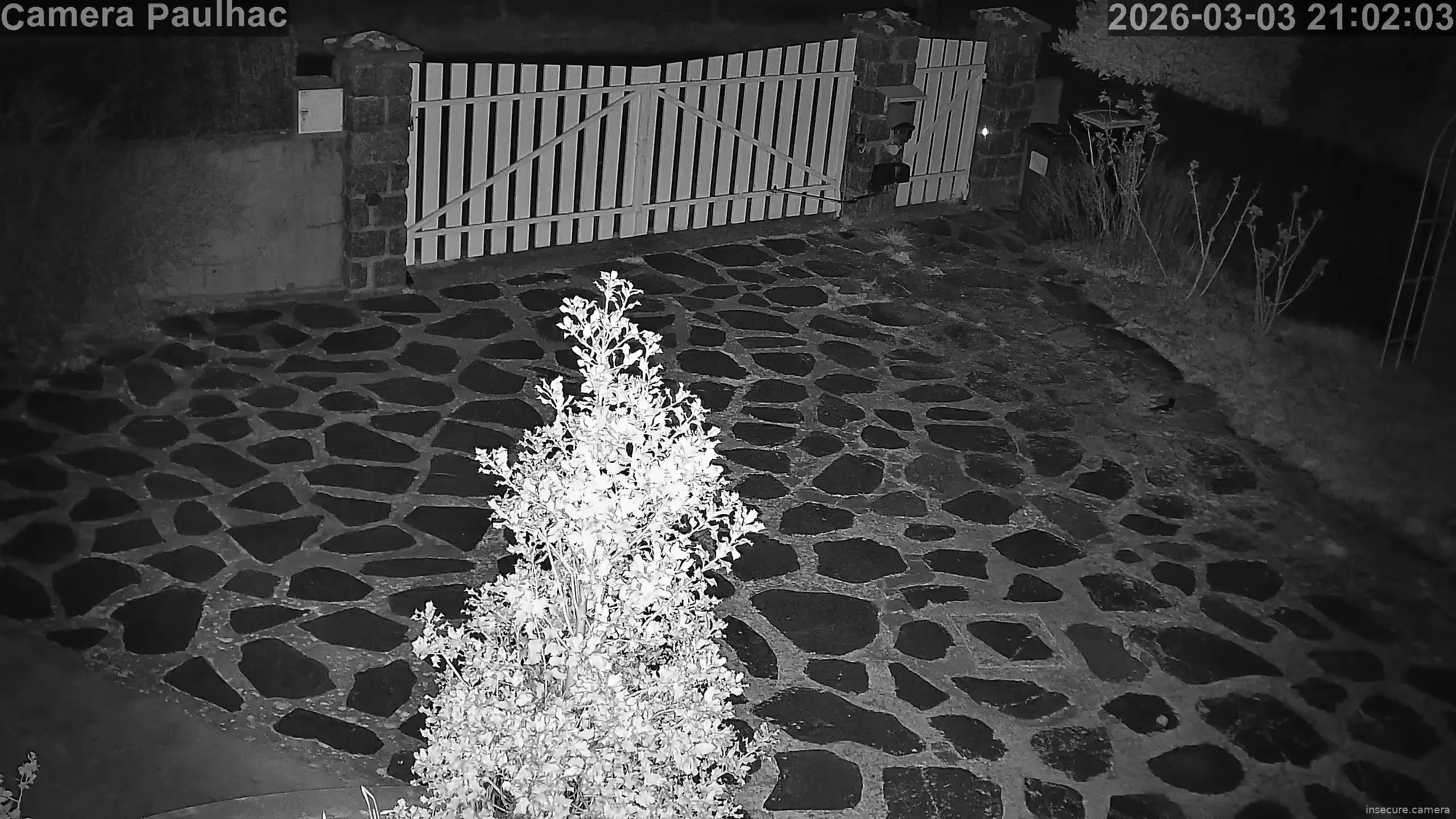 Capture from Mar 03, 2026 at 08:02 PM