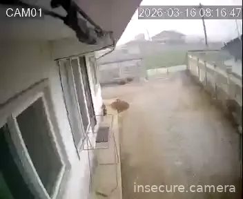 Camera in South Korea