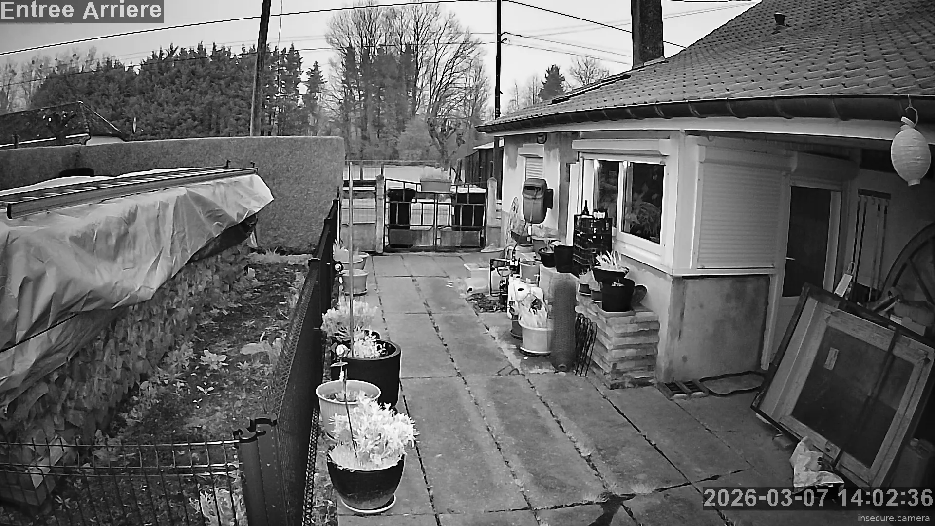 Capture from Mar 07, 2026 at 06:02 AM