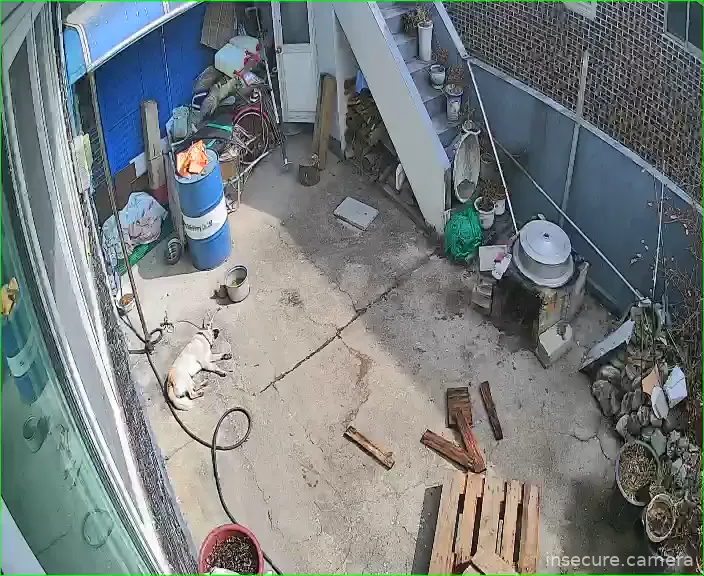 Capture from Feb 26, 2026 at 03:54 AM