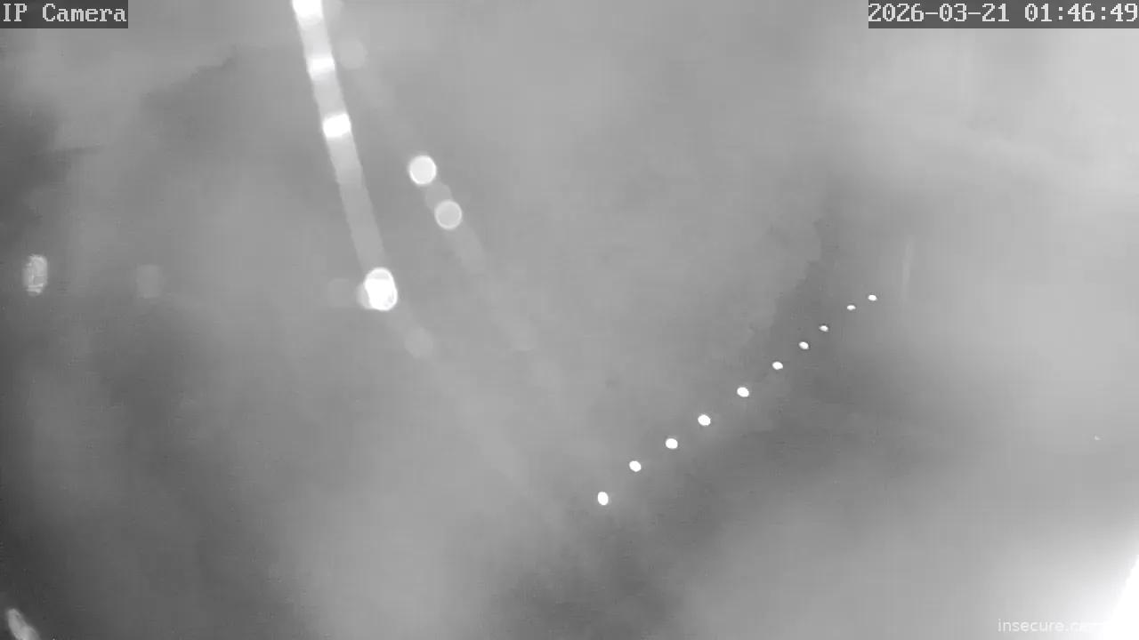 Capture from Mar 21, 2026 at 12:47 AM