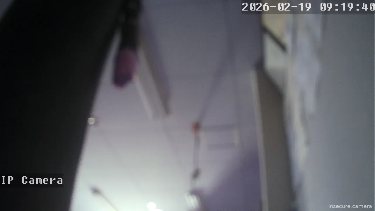 Capture from Feb 19, 2026 at 01:20 AM