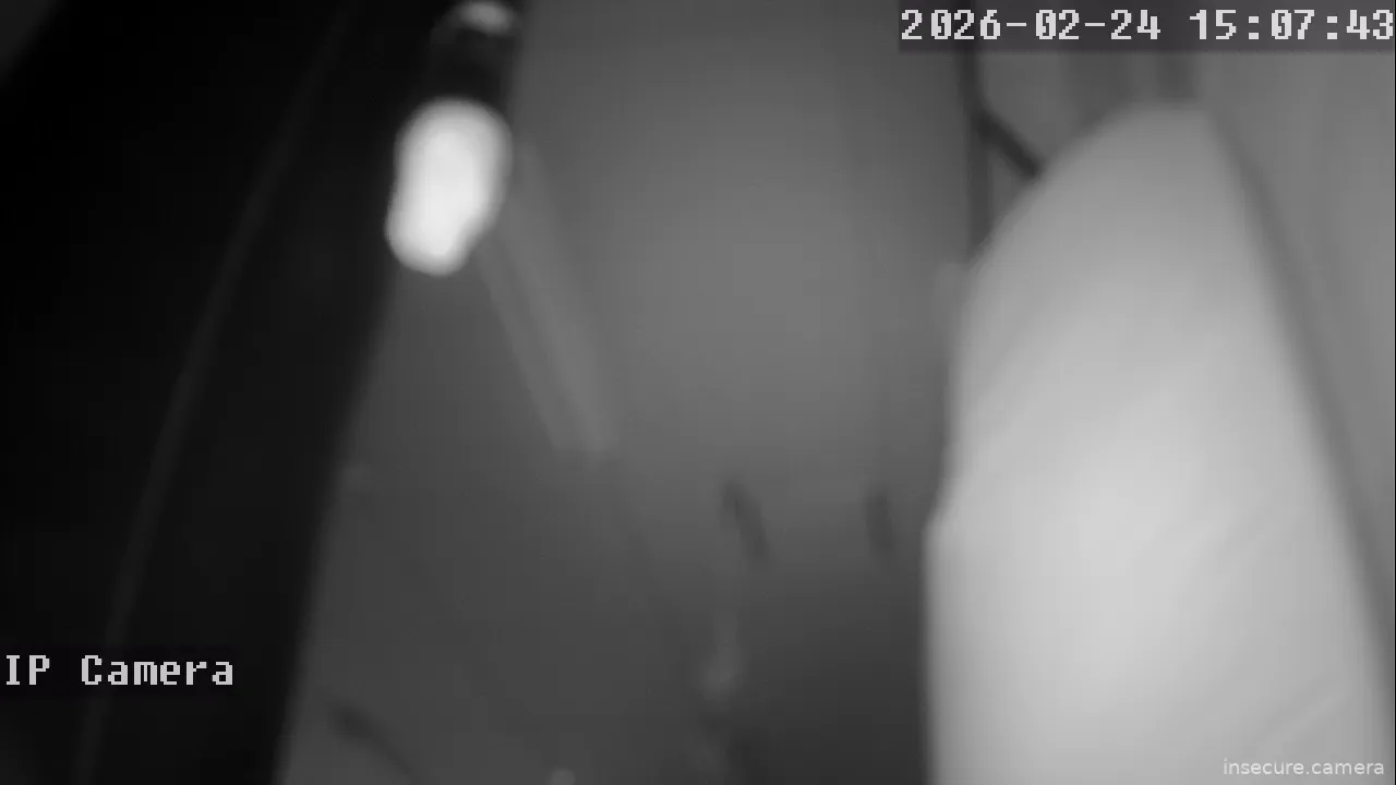 Capture from Feb 24, 2026 at 07:08 AM