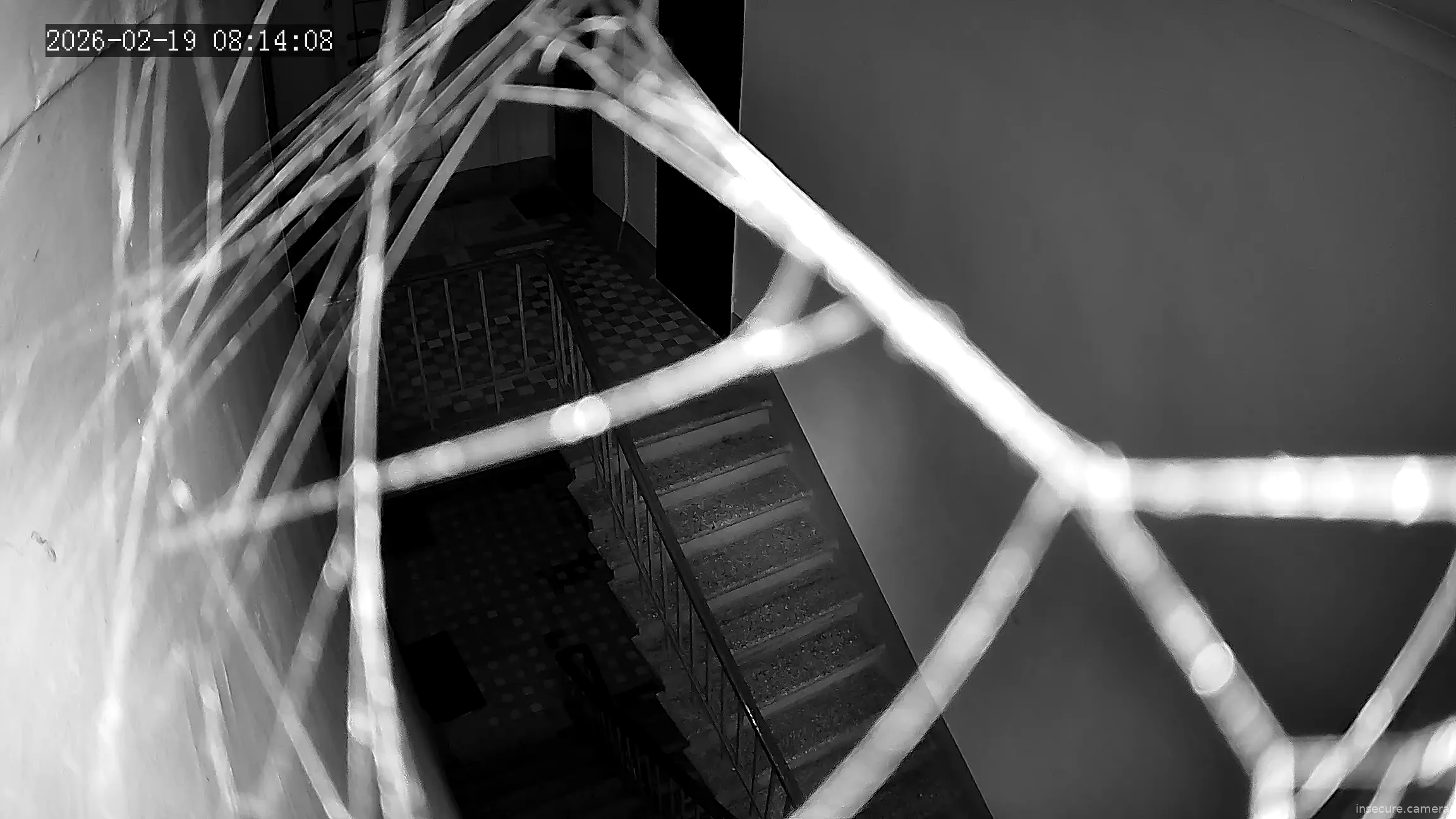 Capture from Feb 19, 2026 at 01:13 AM