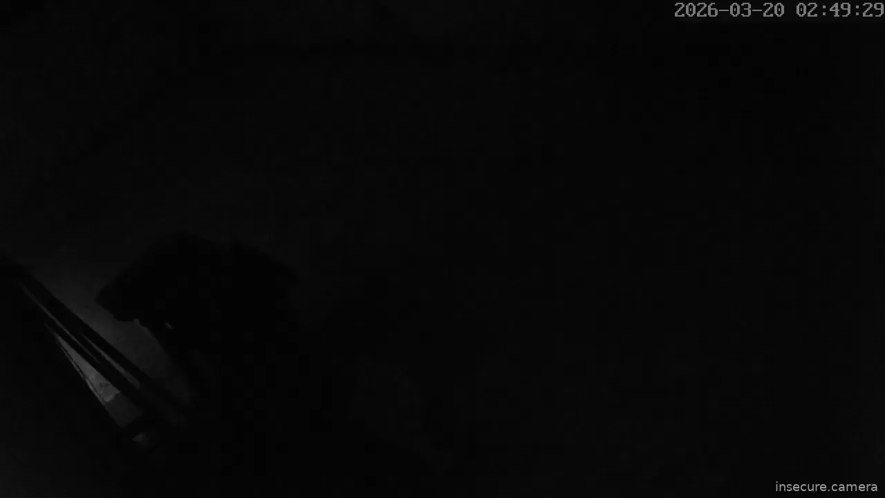 Capture from Mar 20, 2026 at 01:49 AM