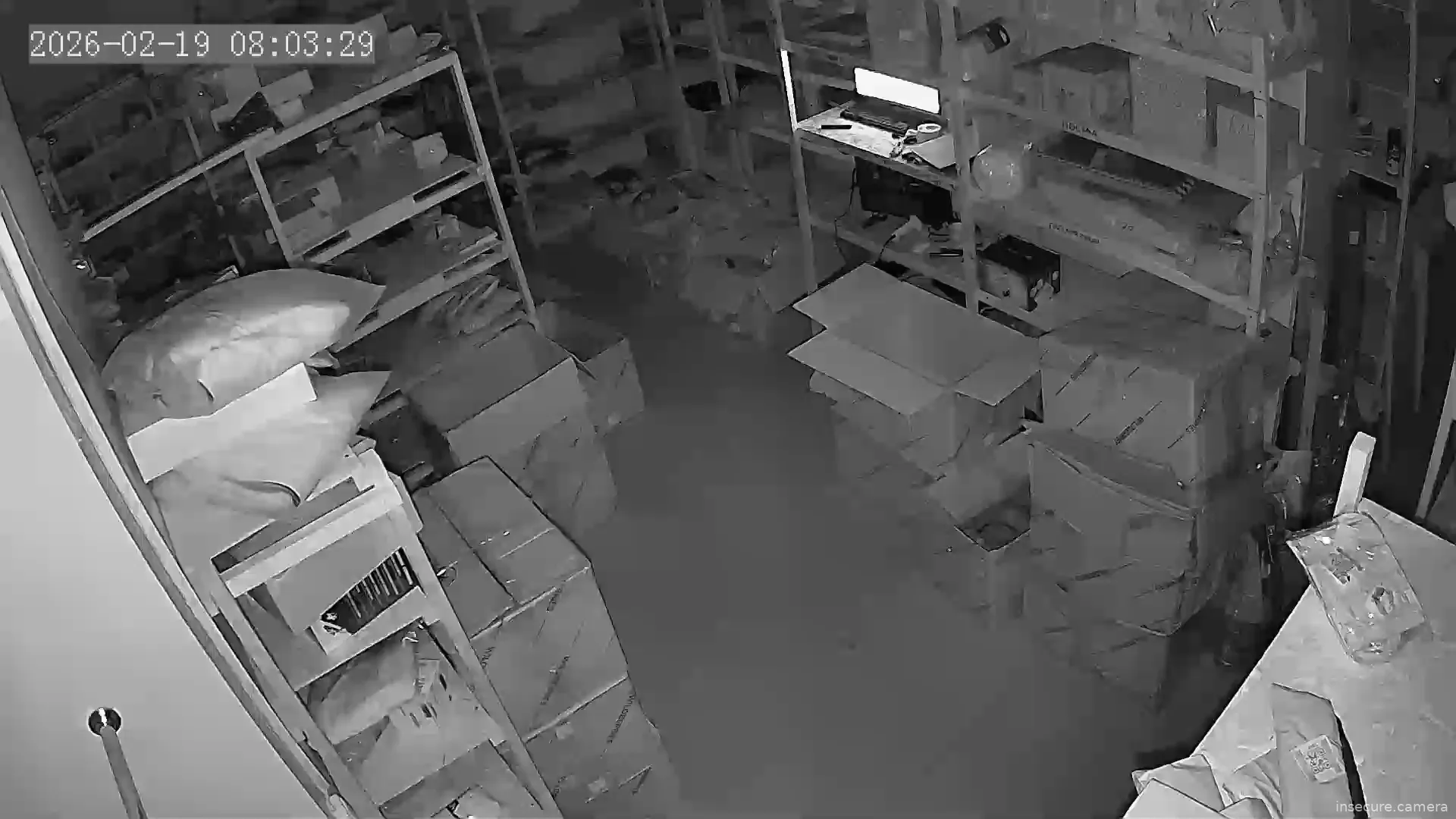 Capture from Feb 19, 2026 at 12:04 AM