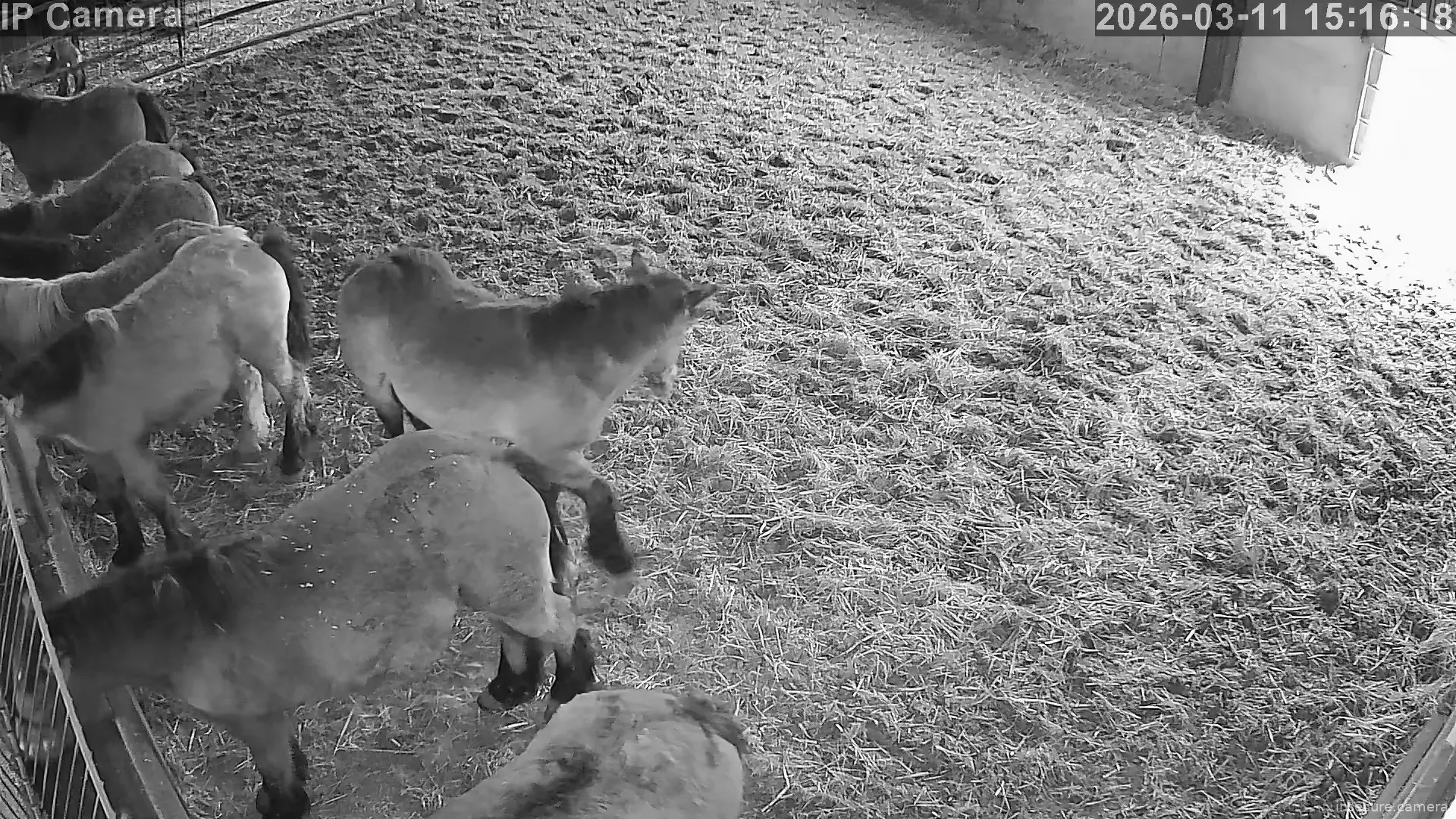 Capture from Mar 11, 2026 at 07:16 AM