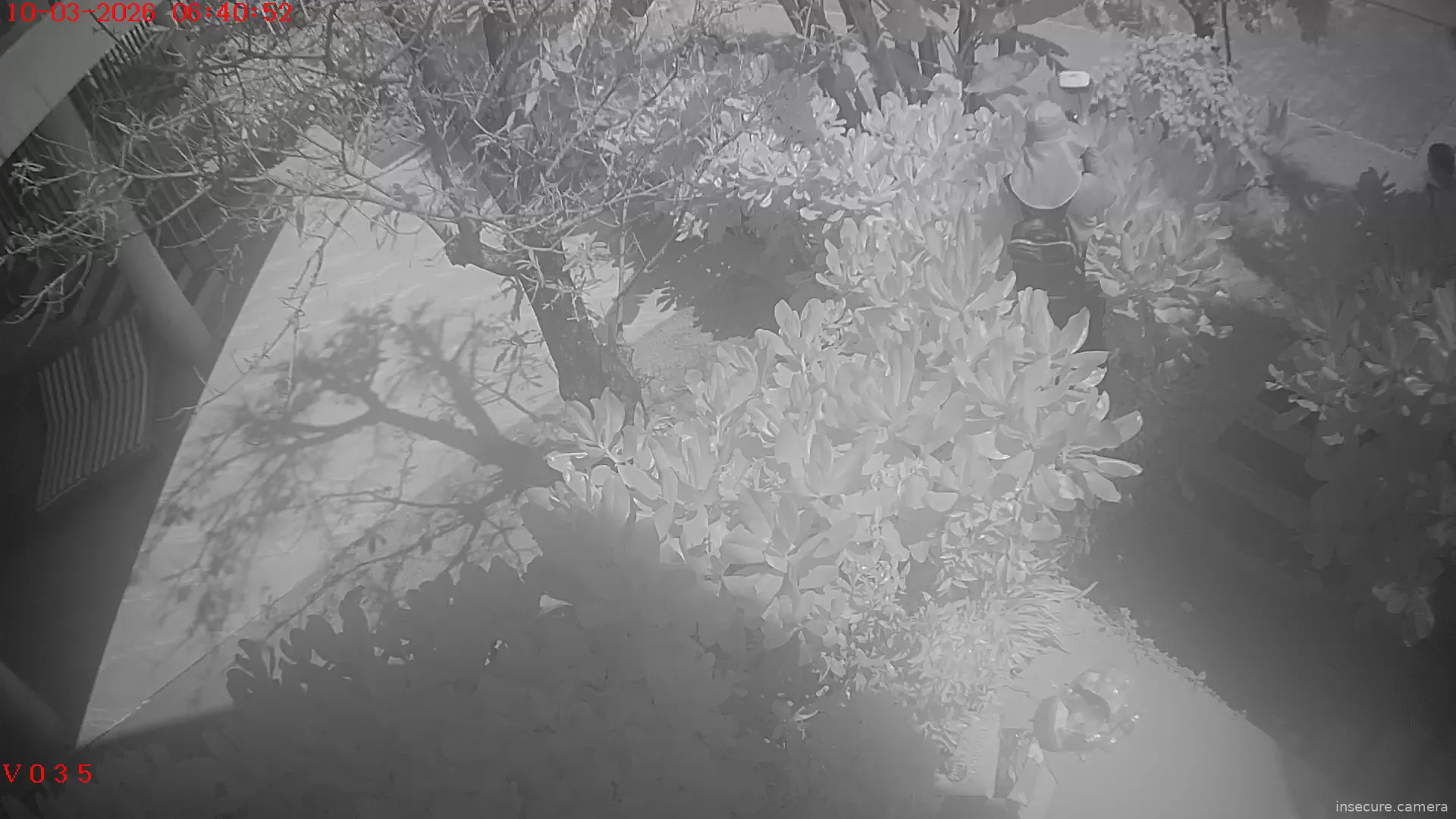 Capture from Mar 10, 2026 at 03:10 AM