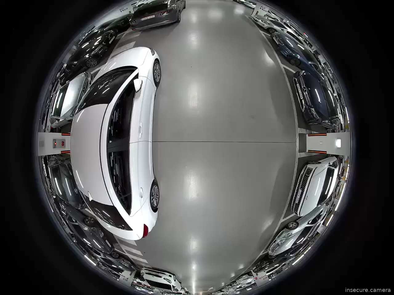 Capture from Mar 03, 2026 at 04:40 AM