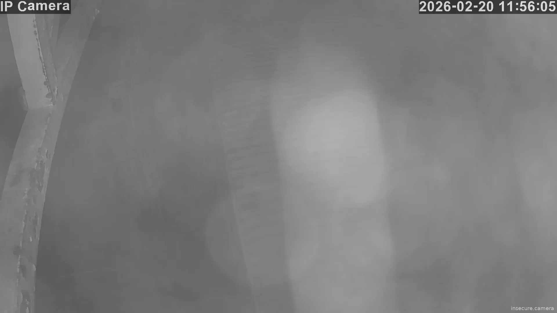 Capture from Feb 20, 2026 at 03:57 AM