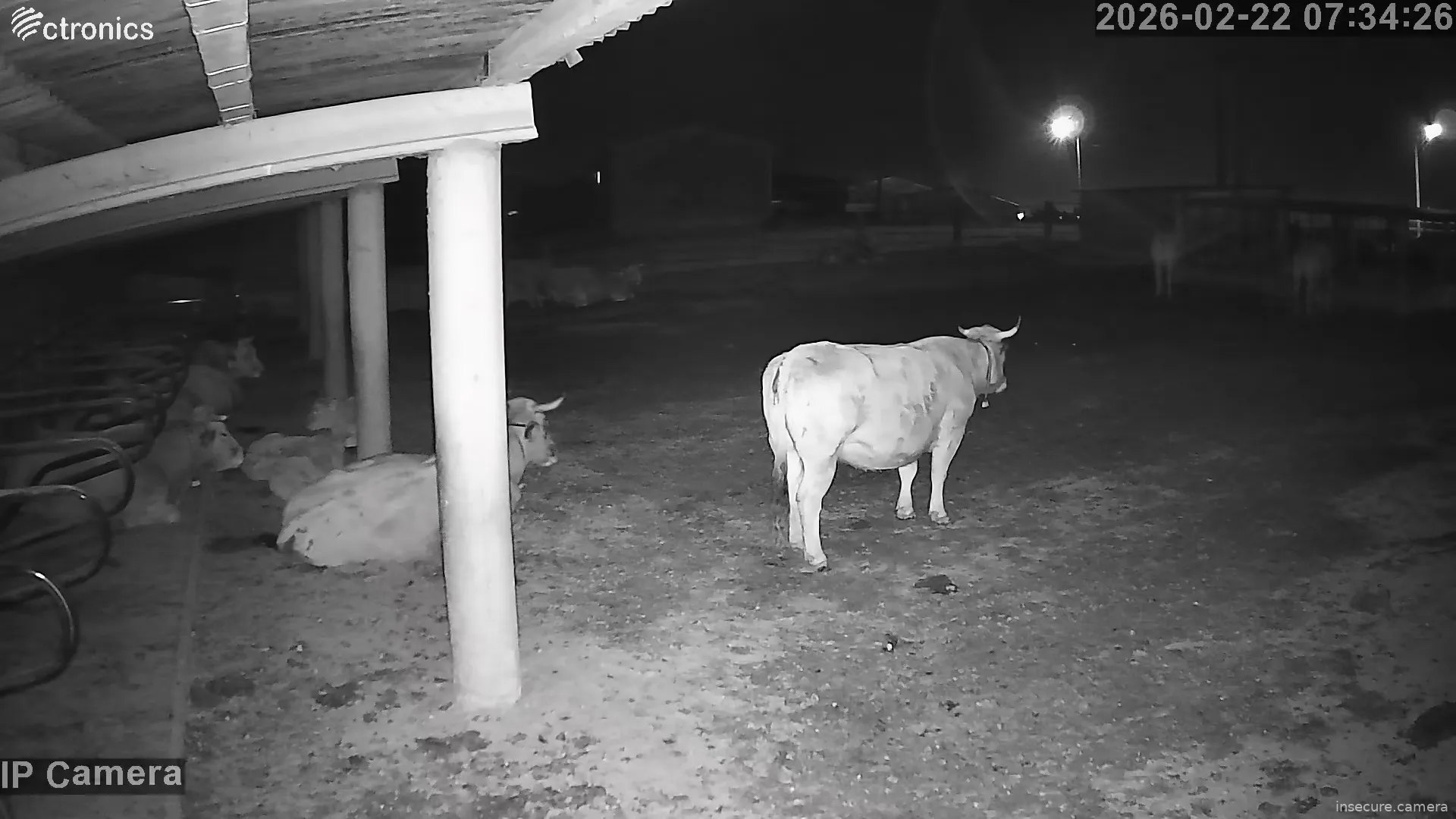 Capture from Feb 21, 2026 at 11:34 PM