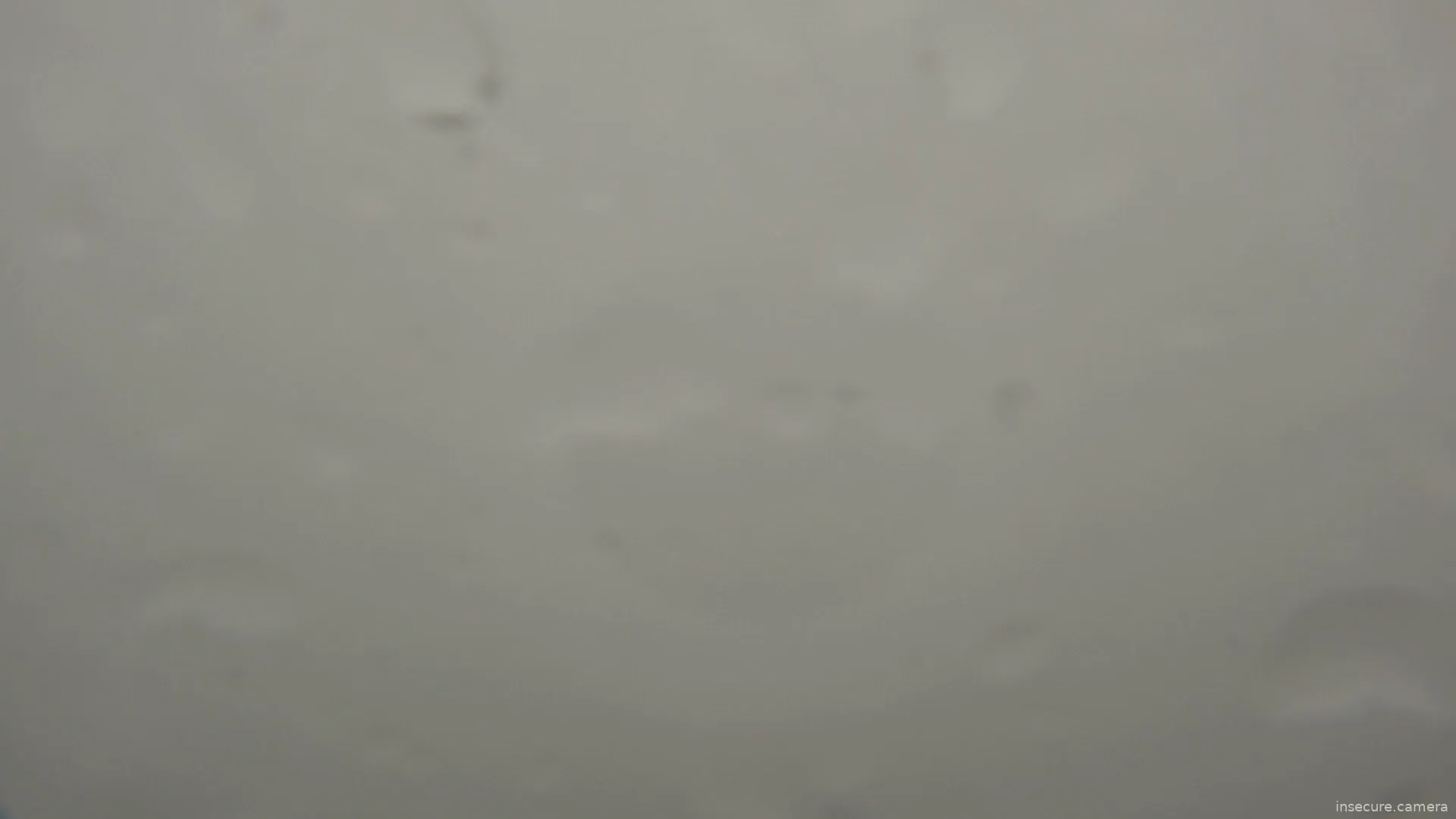 Capture from Mar 02, 2026 at 04:42 AM