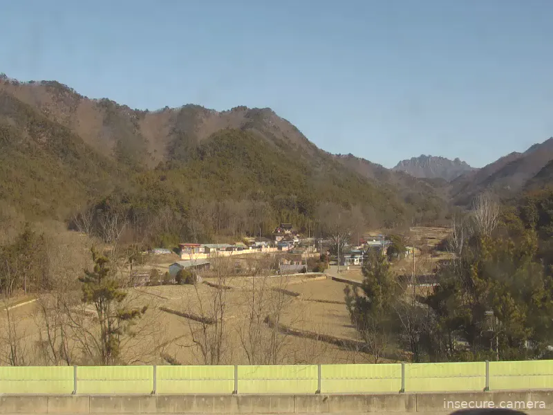 Capture from Feb 19, 2026 at 12:55 AM