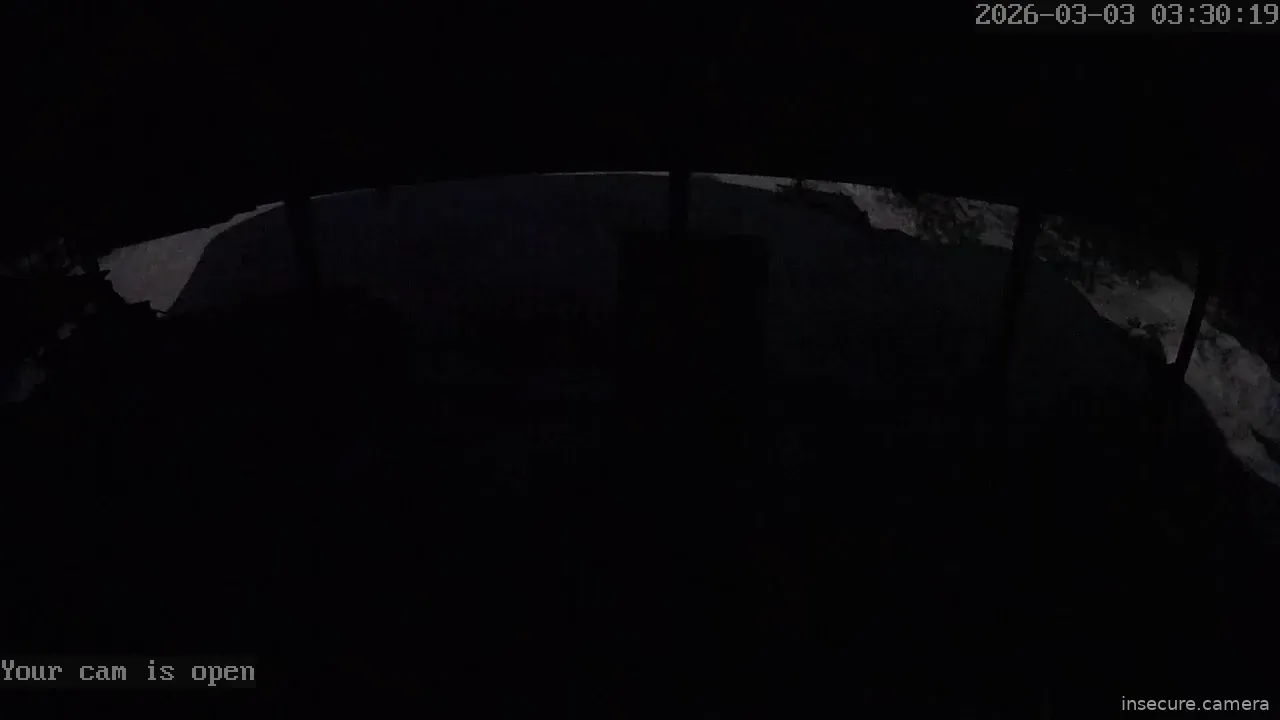 Capture from Mar 03, 2026 at 08:30 AM