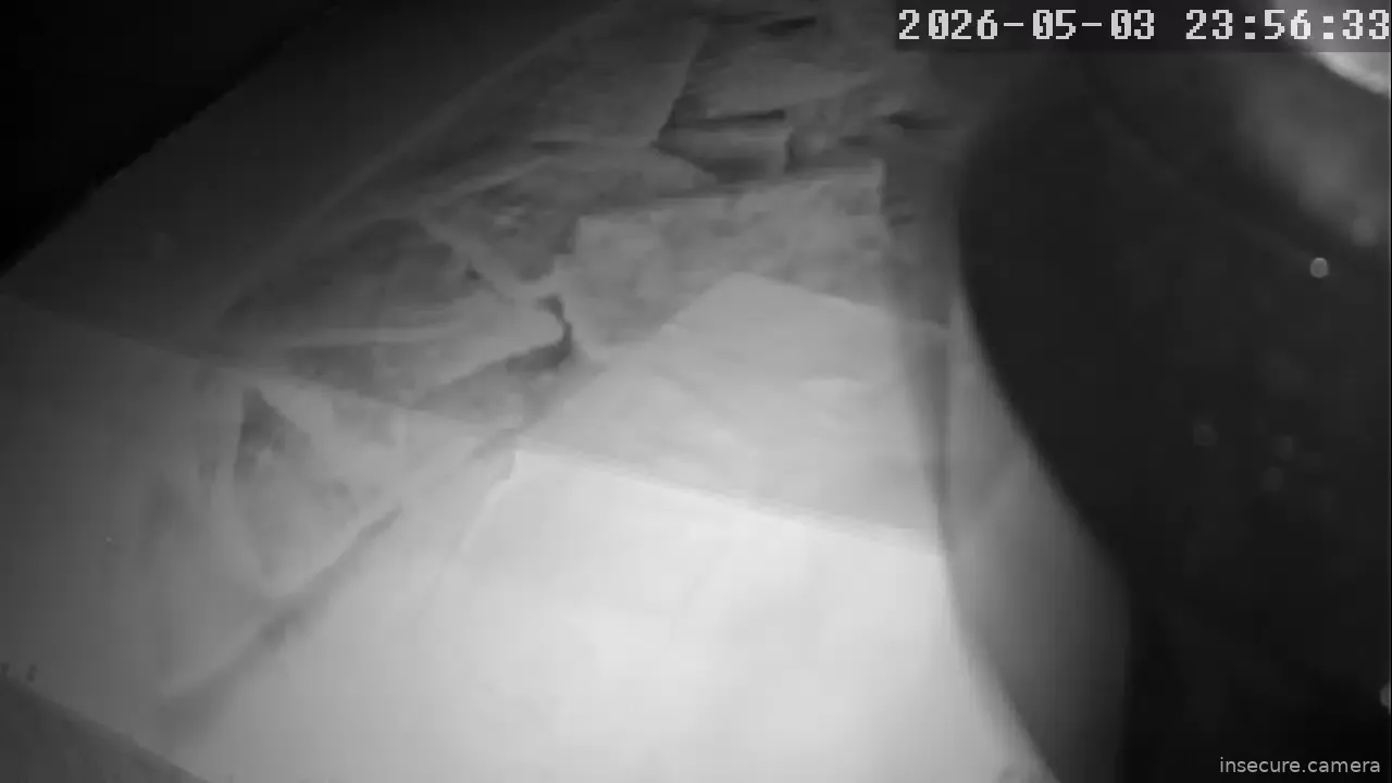 Capture from May 04, 2026 at 03:56 AM